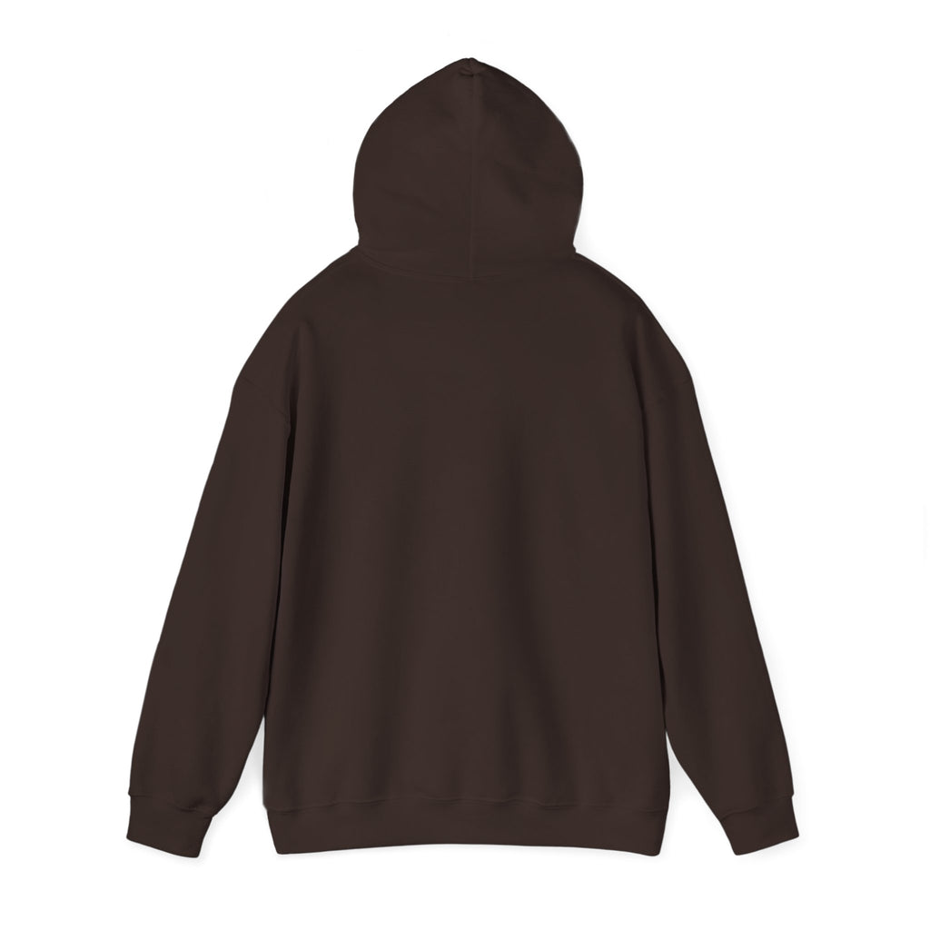 Holiday Hoodie — "Naughty, Nice, I Tried" Funny Christmas Sweatshirt
