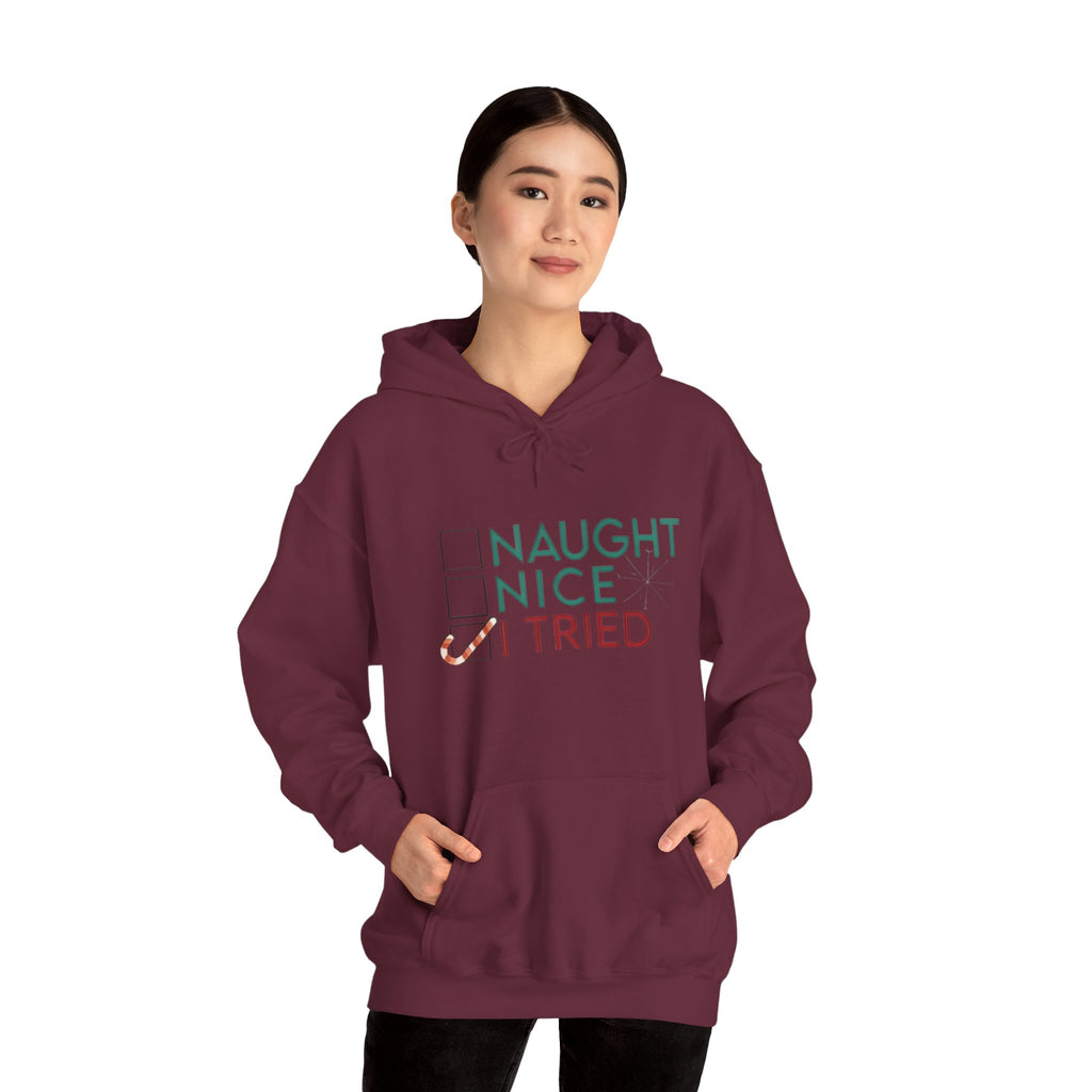 Holiday Hoodie — "Naughty, Nice, I Tried" Funny Christmas Sweatshirt