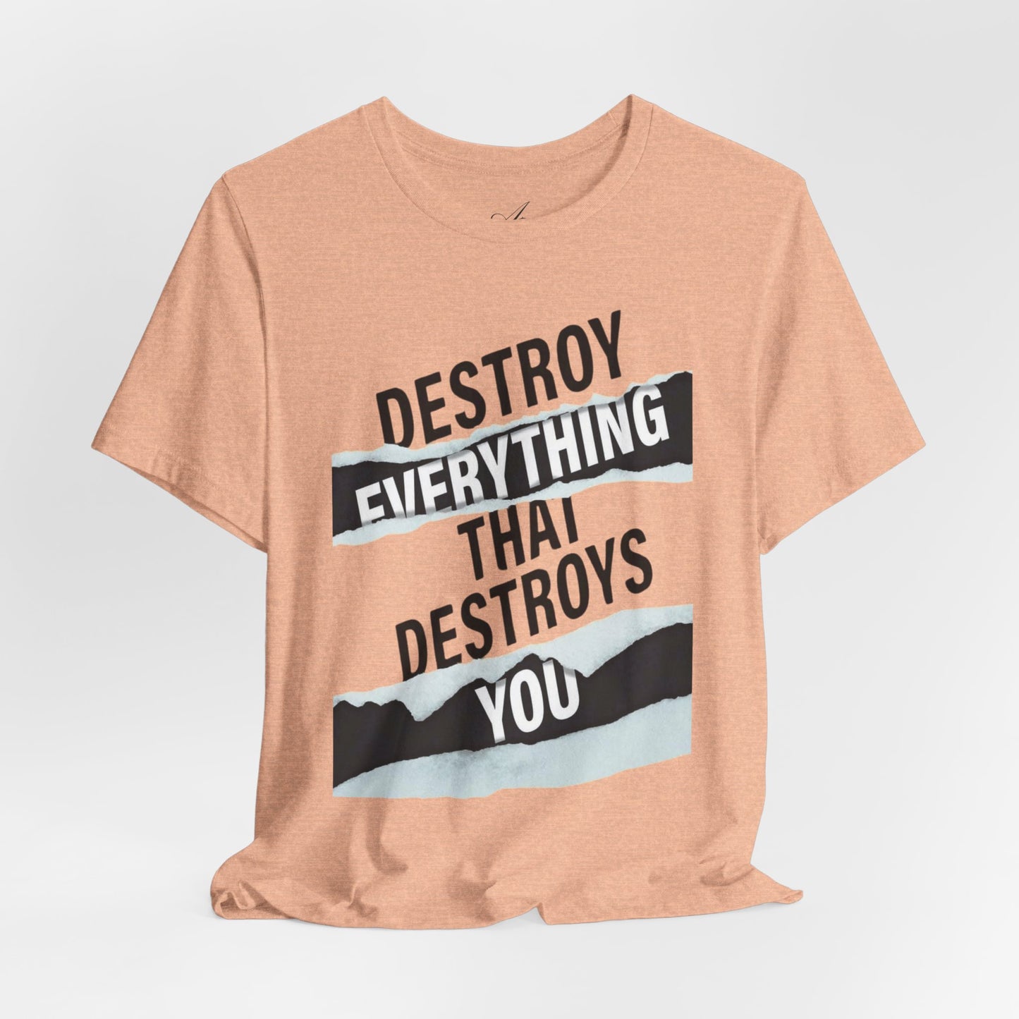 Destroy Everything That Destroys You T-Shirt  Bold Typographic Graphic Tee