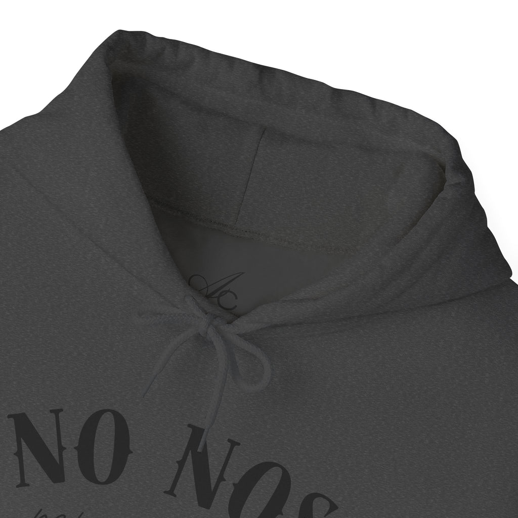 Puerto Rican Pride Hoodie  “No Nos representan” Front & Puñeta Flag Back