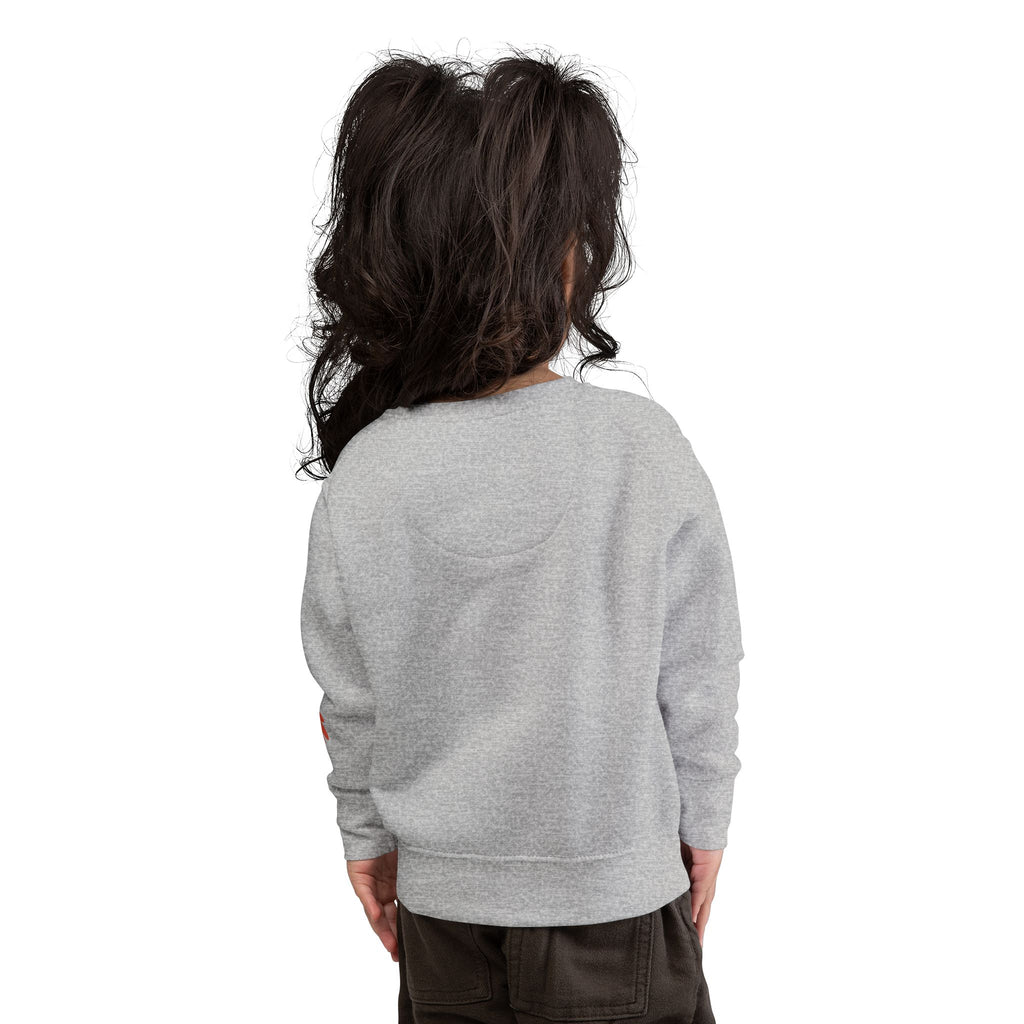 Toddler Sweatshirt  "Thankful" Pumpkin Fall Pullover