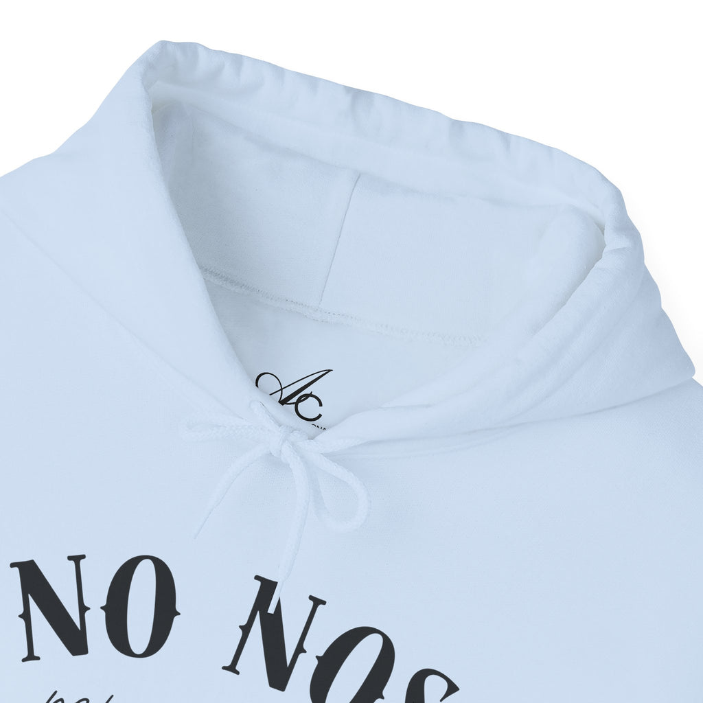 Puerto Rican Pride Hoodie  “No Nos representan” Front & Puñeta Flag Back