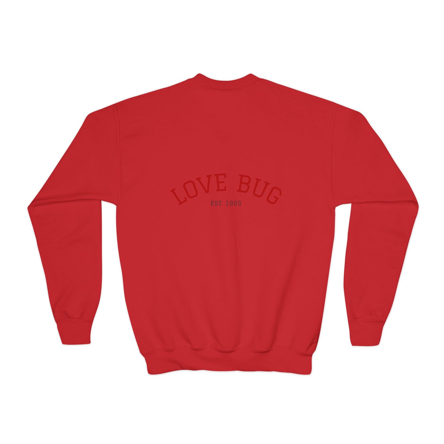 Youth Sweatshirt  Cute Girl with Heart Shower "Love Bug" Crewneck