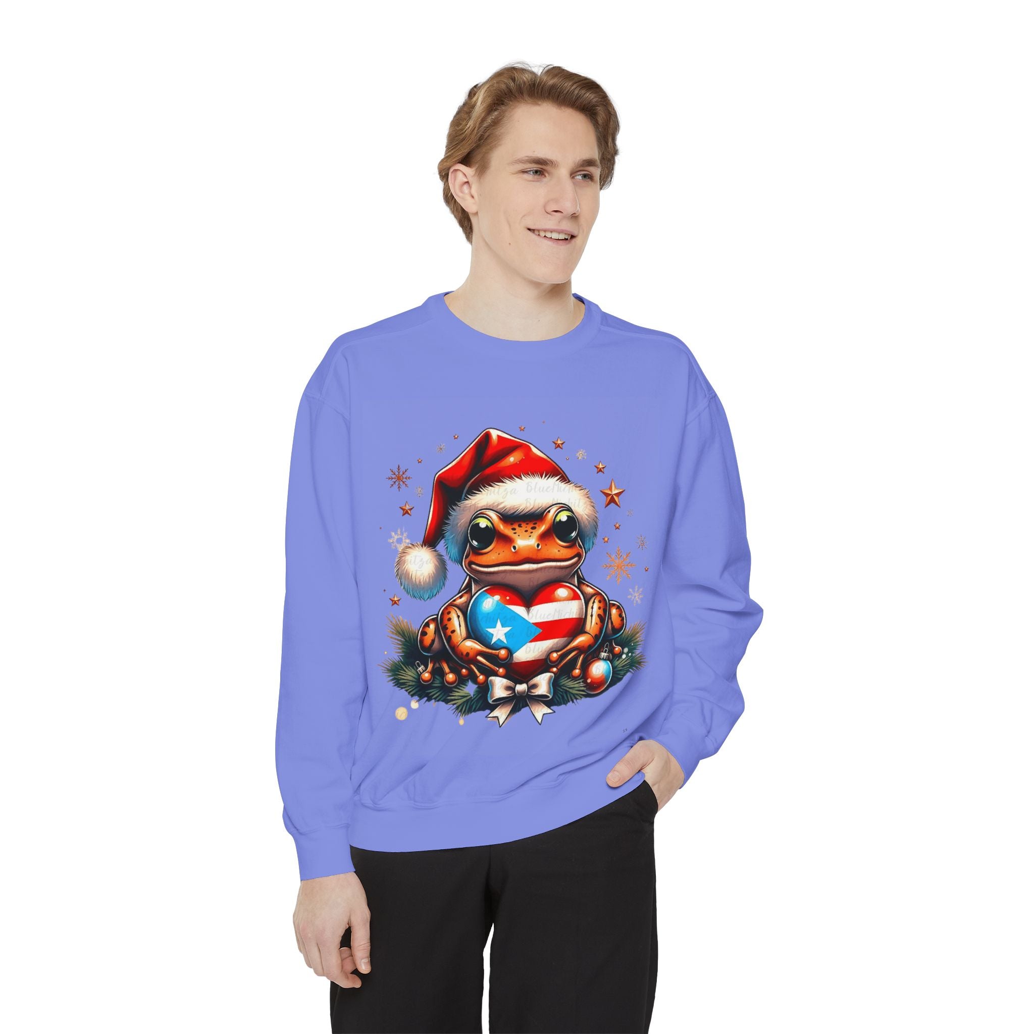 Christmas Coqui Sweatshirt — Cute Santa Frog Holding Ornament Holiday Sweater