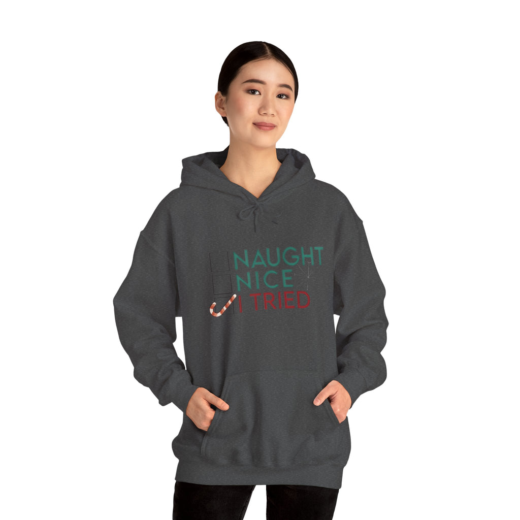 Holiday Hoodie — "Naughty, Nice, I Tried" Funny Christmas Sweatshirt