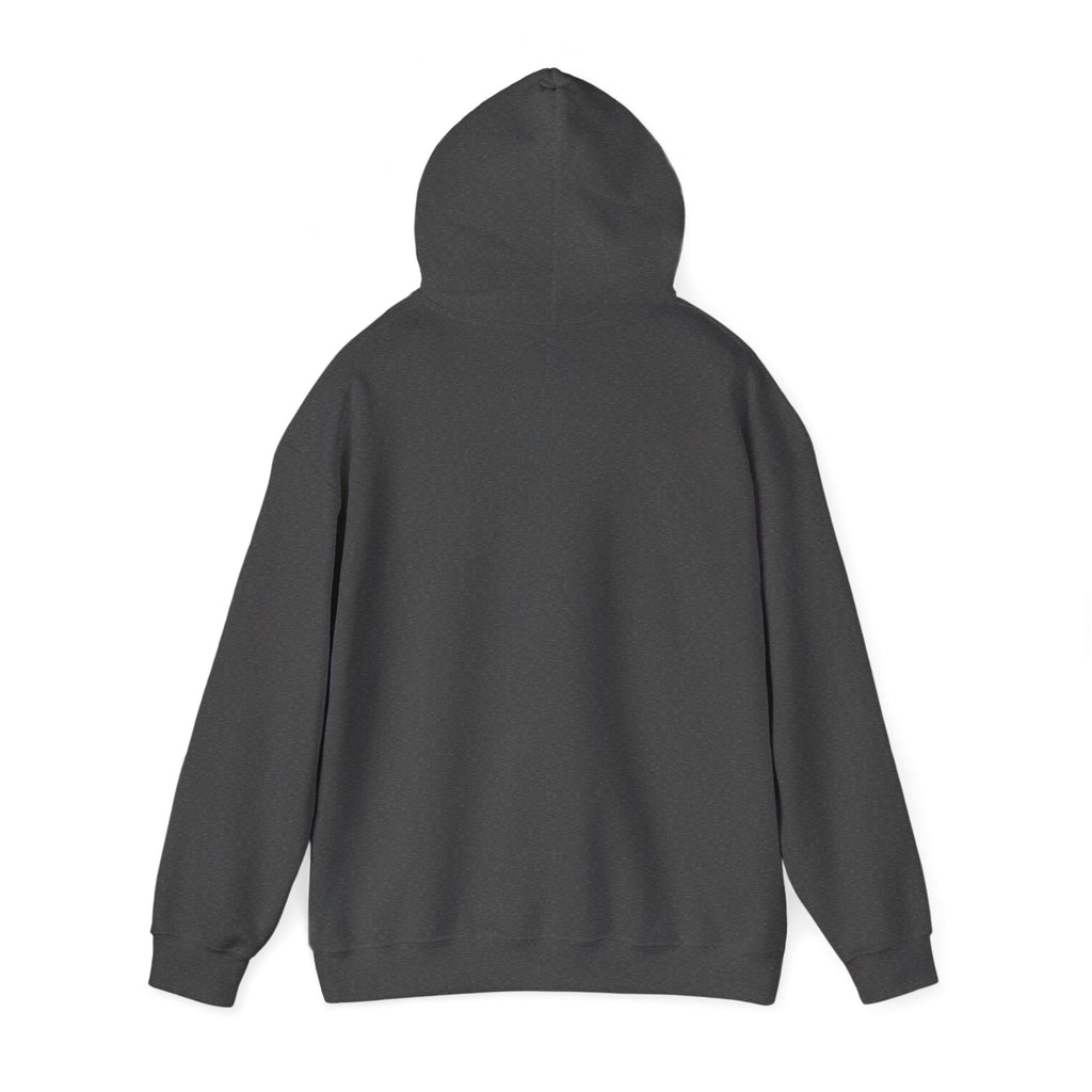 Holiday Hoodie — "Naughty, Nice, I Tried" Funny Christmas Sweatshirt