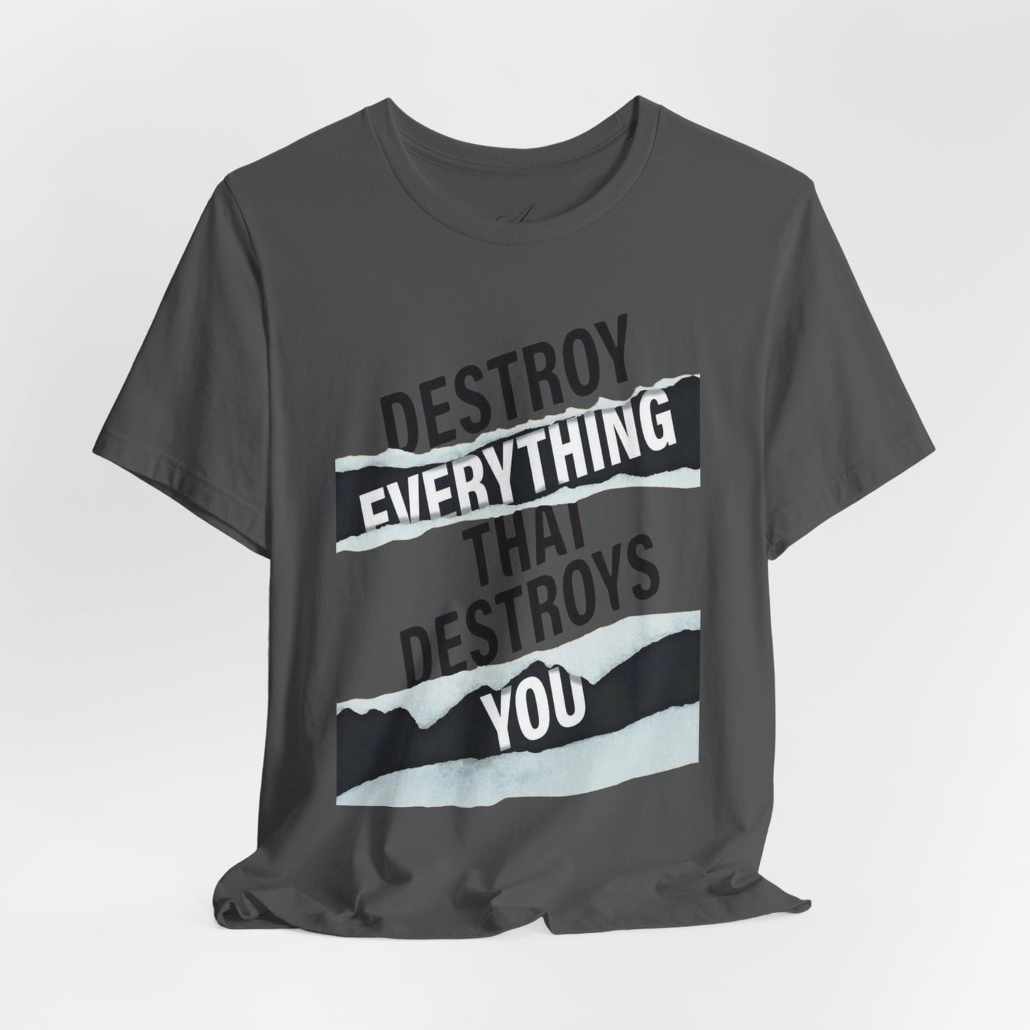 Destroy Everything That Destroys You T-Shirt  Bold Typographic Graphic Tee