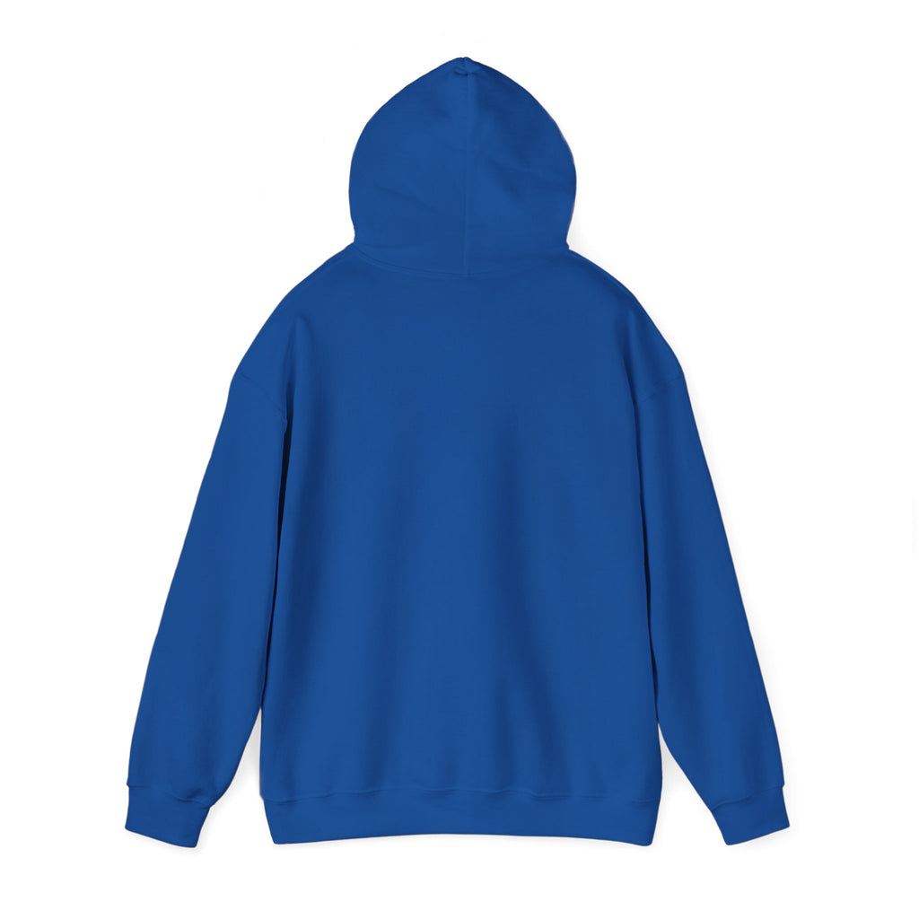 Holiday Hoodie — "Naughty, Nice, I Tried" Funny Christmas Sweatshirt