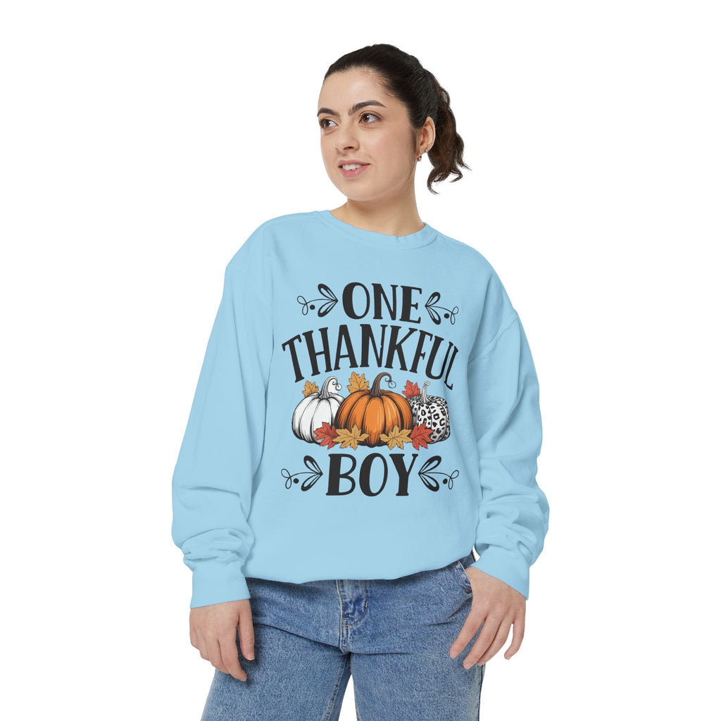 Thankful Boy Sweatshirt  Fall Pumpkin Thanksgiving Crewneck Fall T-Shirts and Sweatshirts Collection