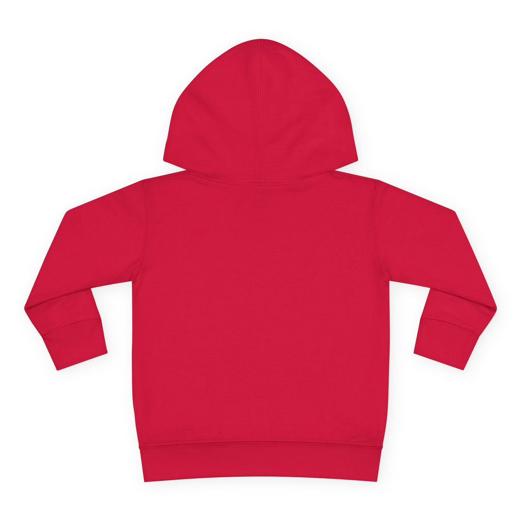Toddler Hoodie  Cozy Plaid Santa Gnome Pullover