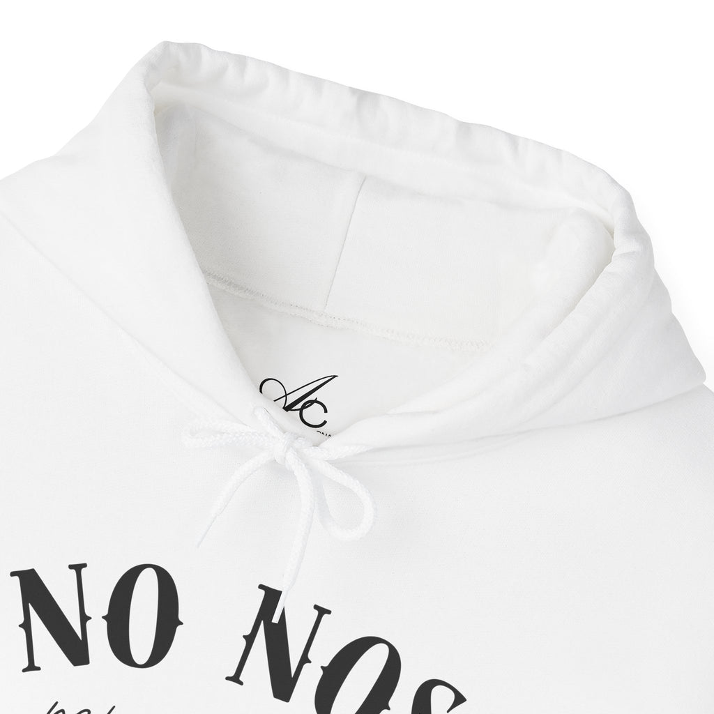 Puerto Rican Pride Hoodie  “No Nos representan” Front & Puñeta Flag Back