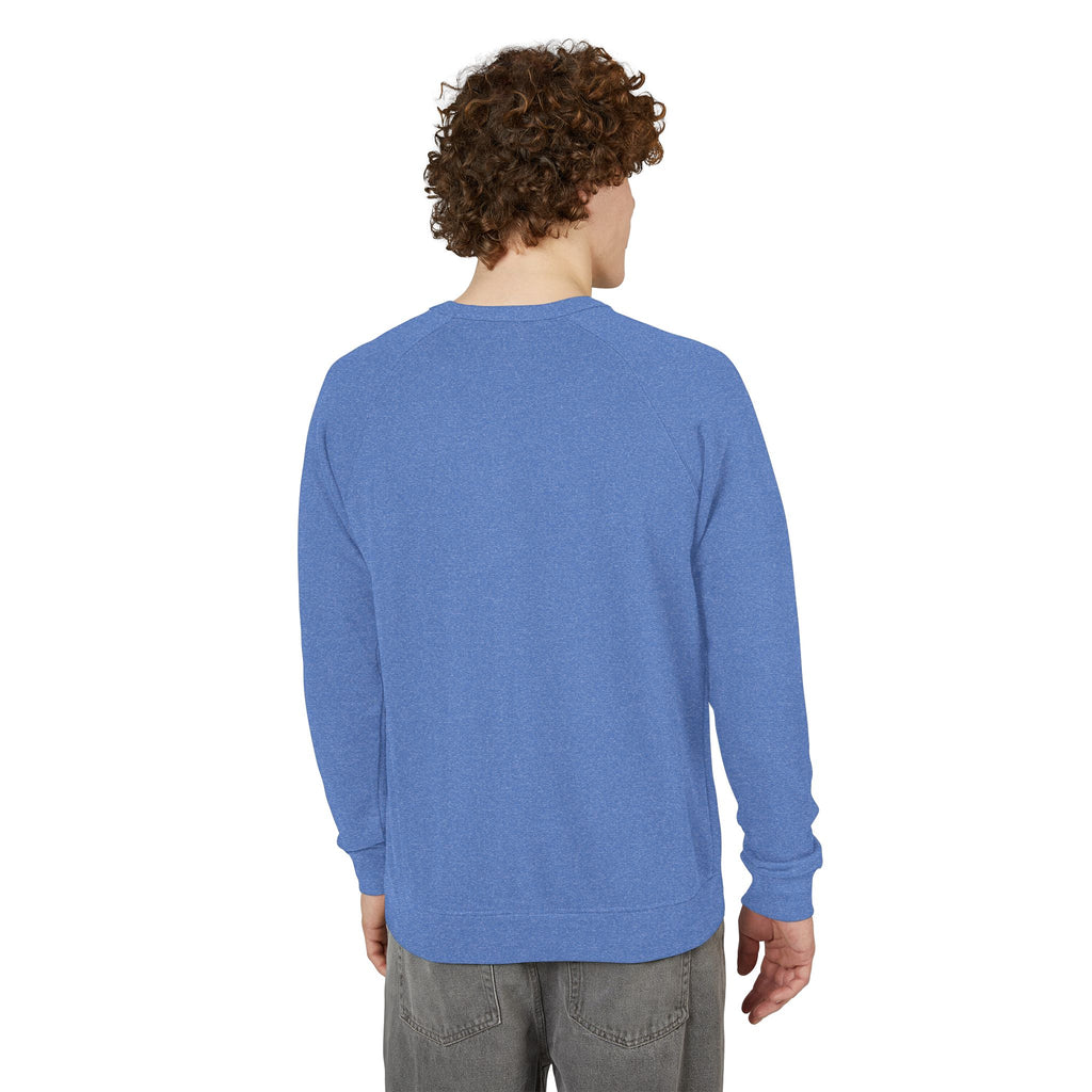 Motherhood Crewneck Sweatshirt  'Blessed with the Chaos' Raglan Pullover for Moms