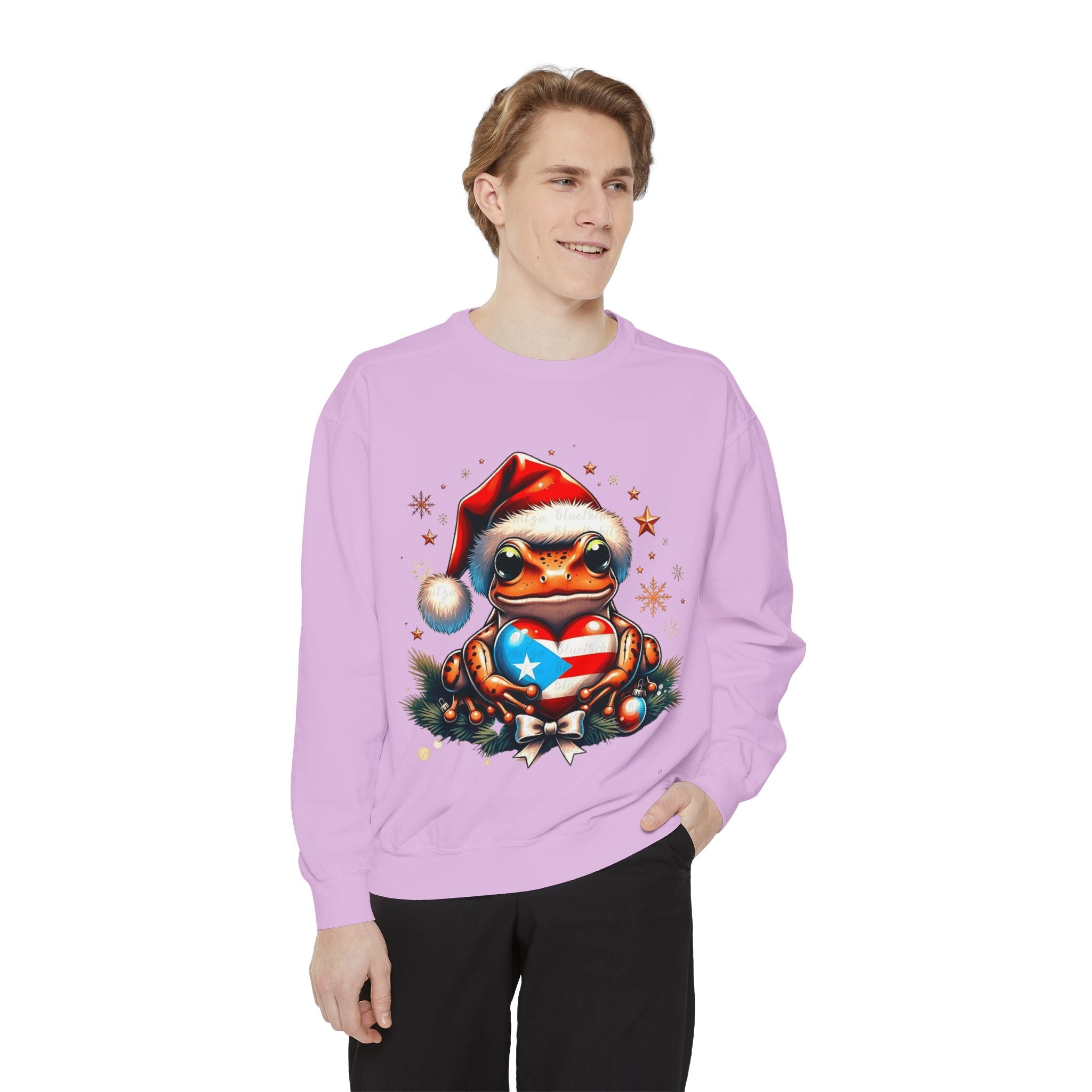 Christmas Coqui Sweatshirt — Cute Santa Frog Holding Ornament Holiday Sweater