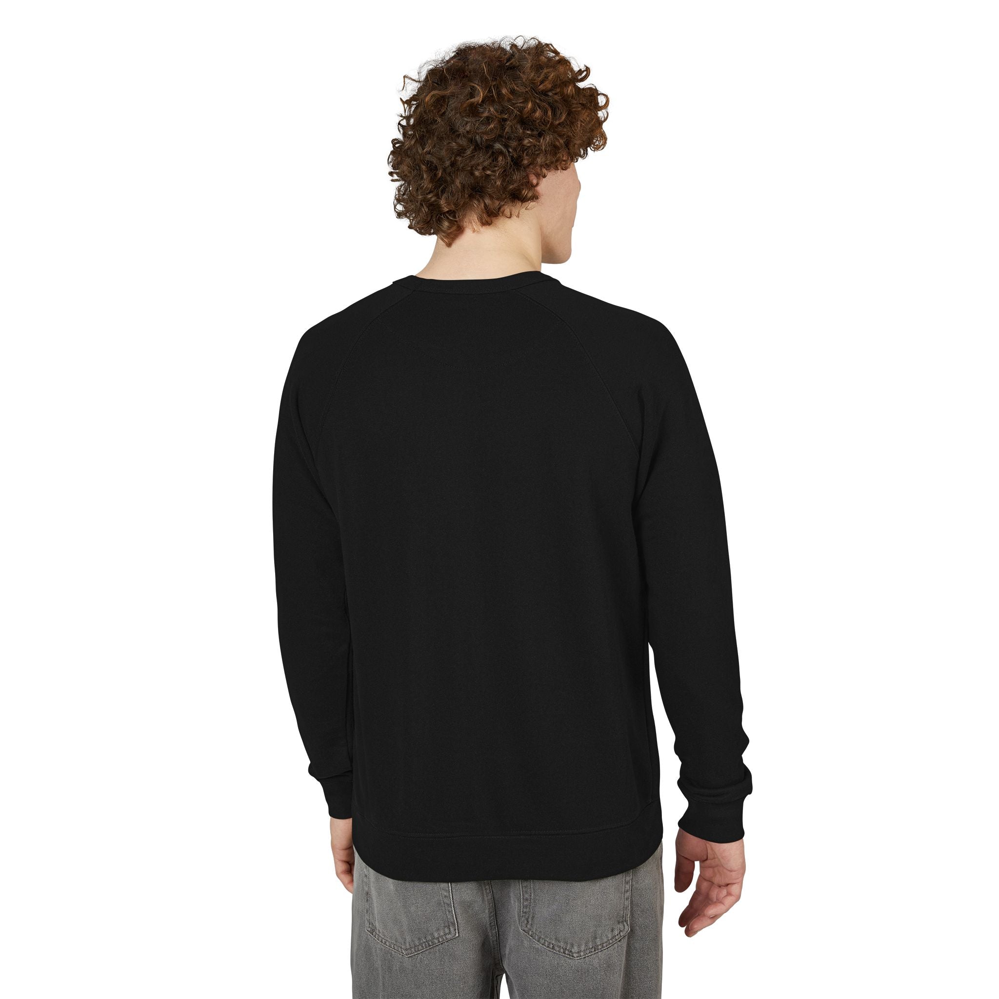 Motherhood Crewneck Sweatshirt  'Blessed with the Chaos' Raglan Pullover for Moms