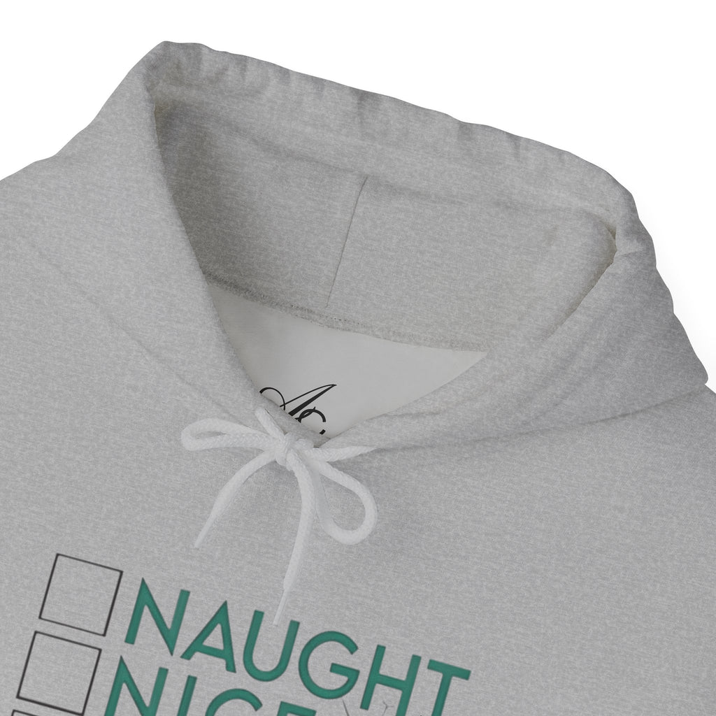 Holiday Hoodie — "Naughty, Nice, I Tried" Funny Christmas Sweatshirt