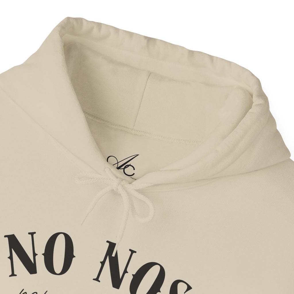 Puerto Rican Pride Hoodie  “No Nos representan” Front & Puñeta Flag Back