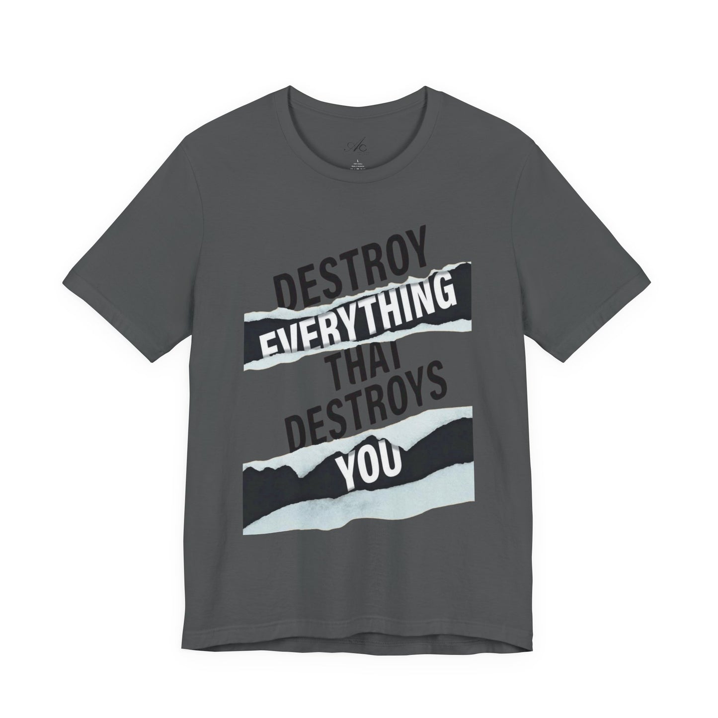 Destroy Everything That Destroys You T-Shirt  Bold Typographic Graphic Tee