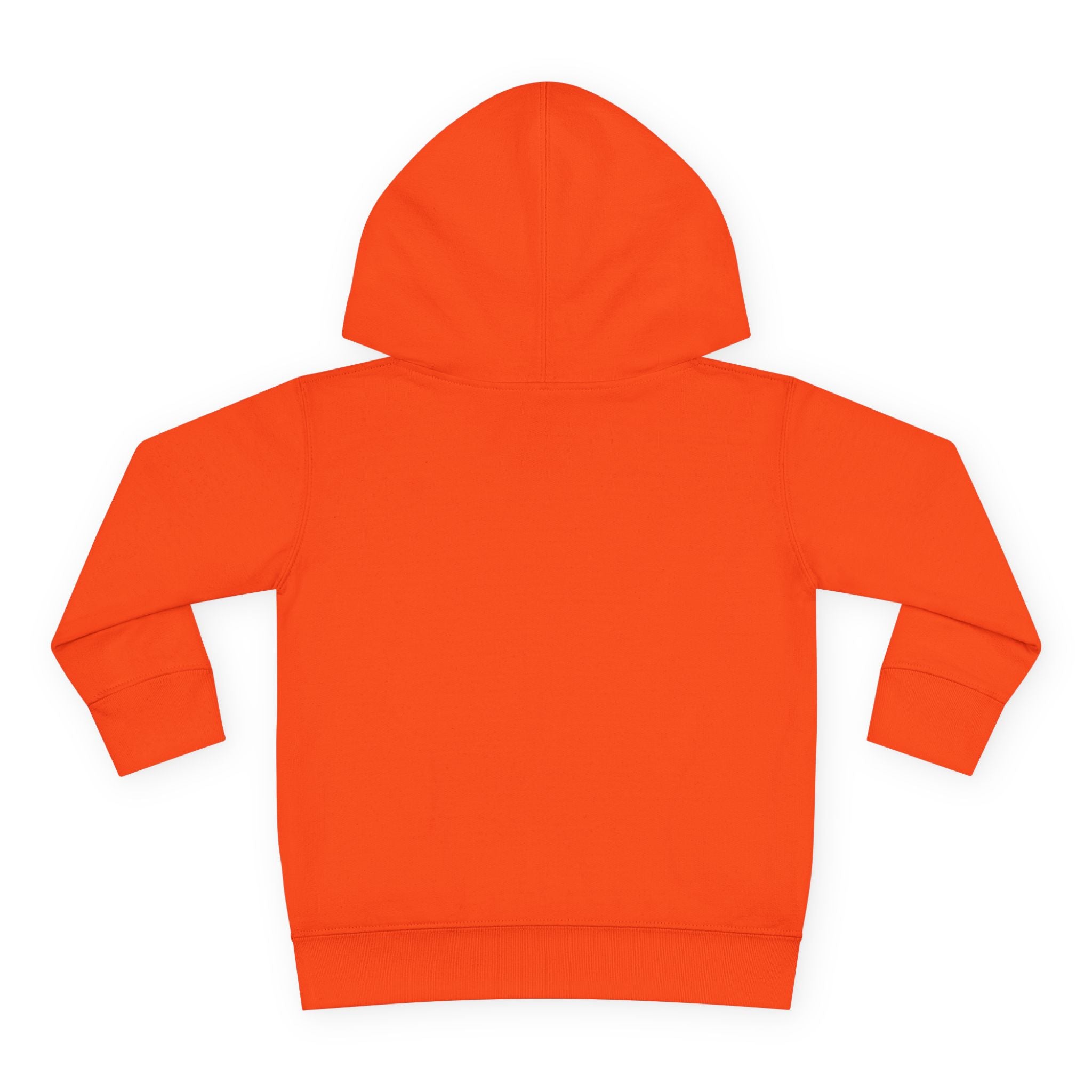 Toddler Hoodie  Cozy Plaid Santa Gnome Pullover
