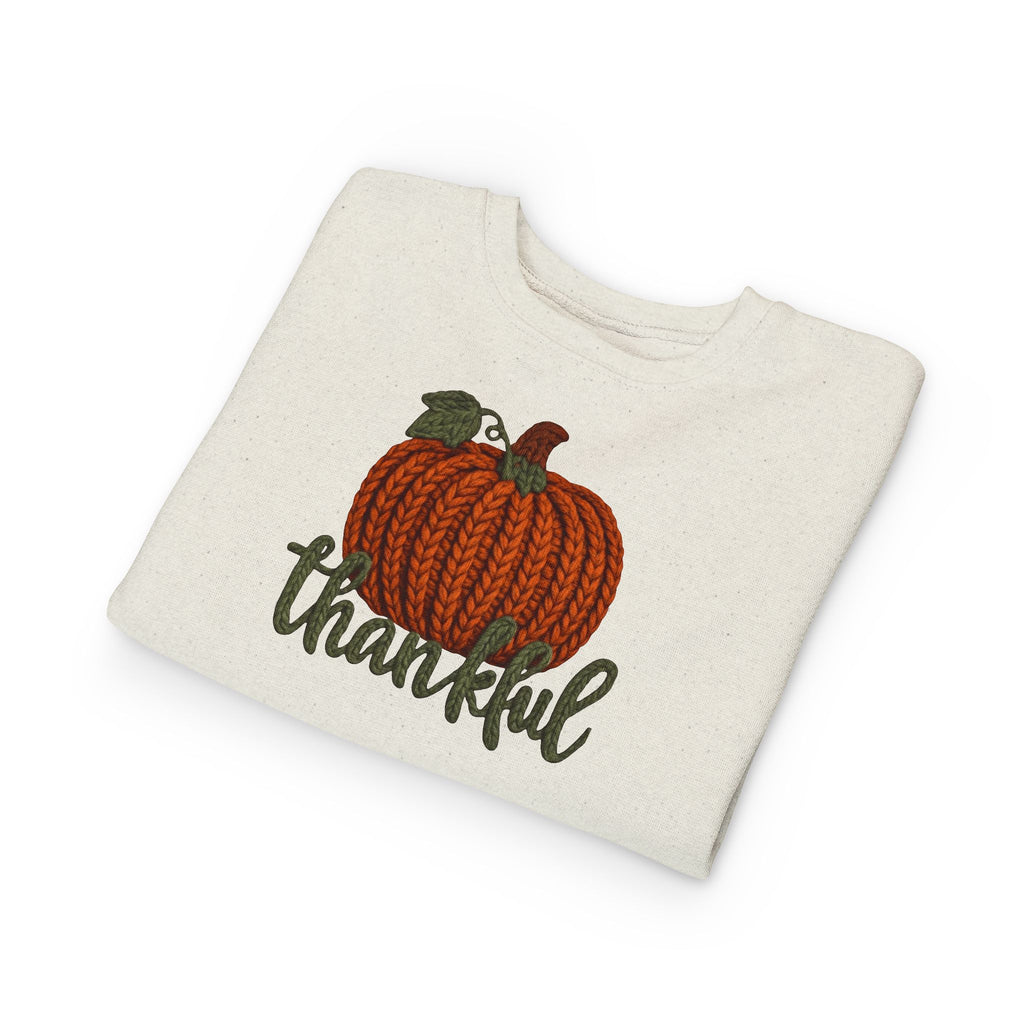 Toddler Sweatshirt  "Thankful" Pumpkin Fall Pullover
