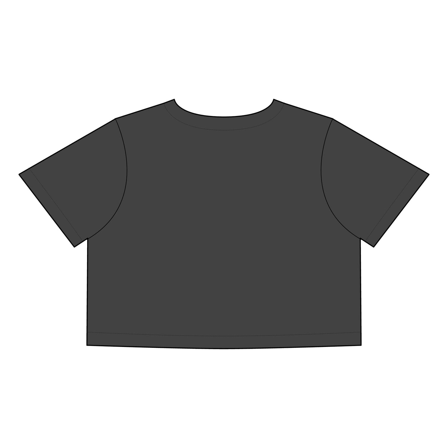 Salsa Brava PR Pride Crop Tee, Women's Faded Crop Top, Casual Summer Tee, Festival Wear, Gift for Texas Lovers