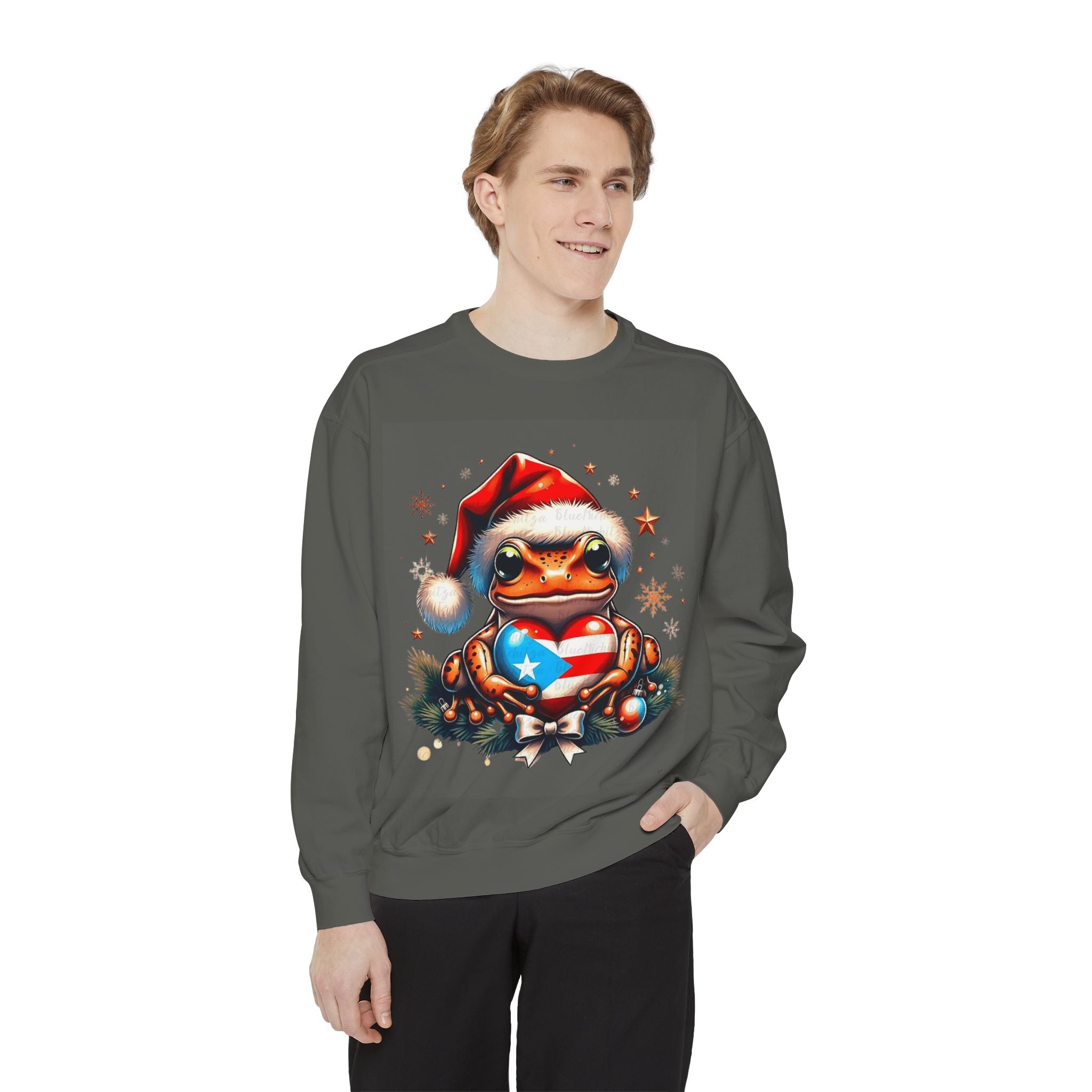 Christmas Coqui Sweatshirt — Cute Santa Frog Holding Ornament Holiday Sweater