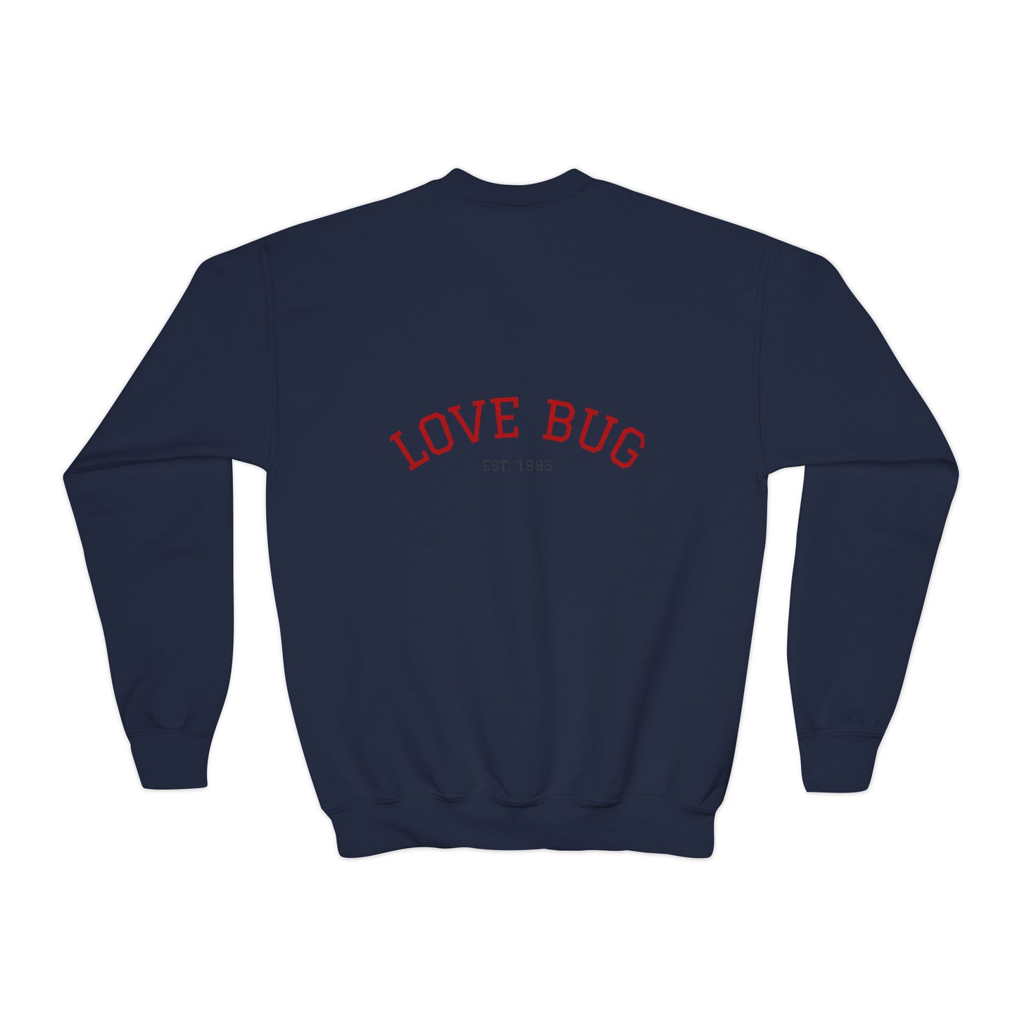 Youth Sweatshirt  Cute Girl with Heart Shower "Love Bug" Crewneck