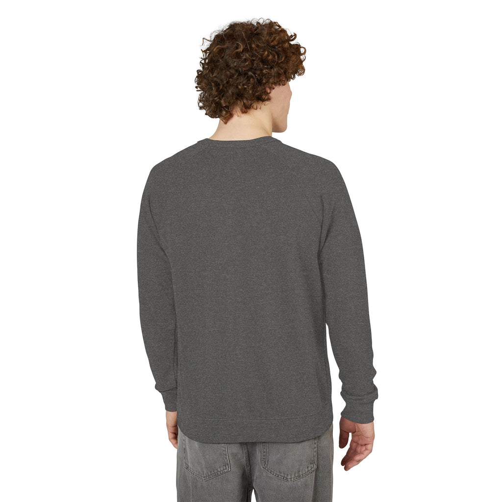 Motherhood Crewneck Sweatshirt  'Blessed with the Chaos' Raglan Pullover for Moms