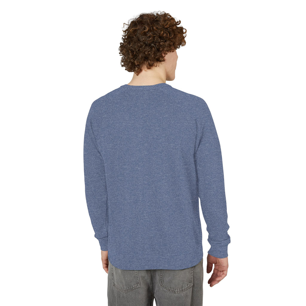 Motherhood Crewneck Sweatshirt  'Blessed with the Chaos' Raglan Pullover for Moms