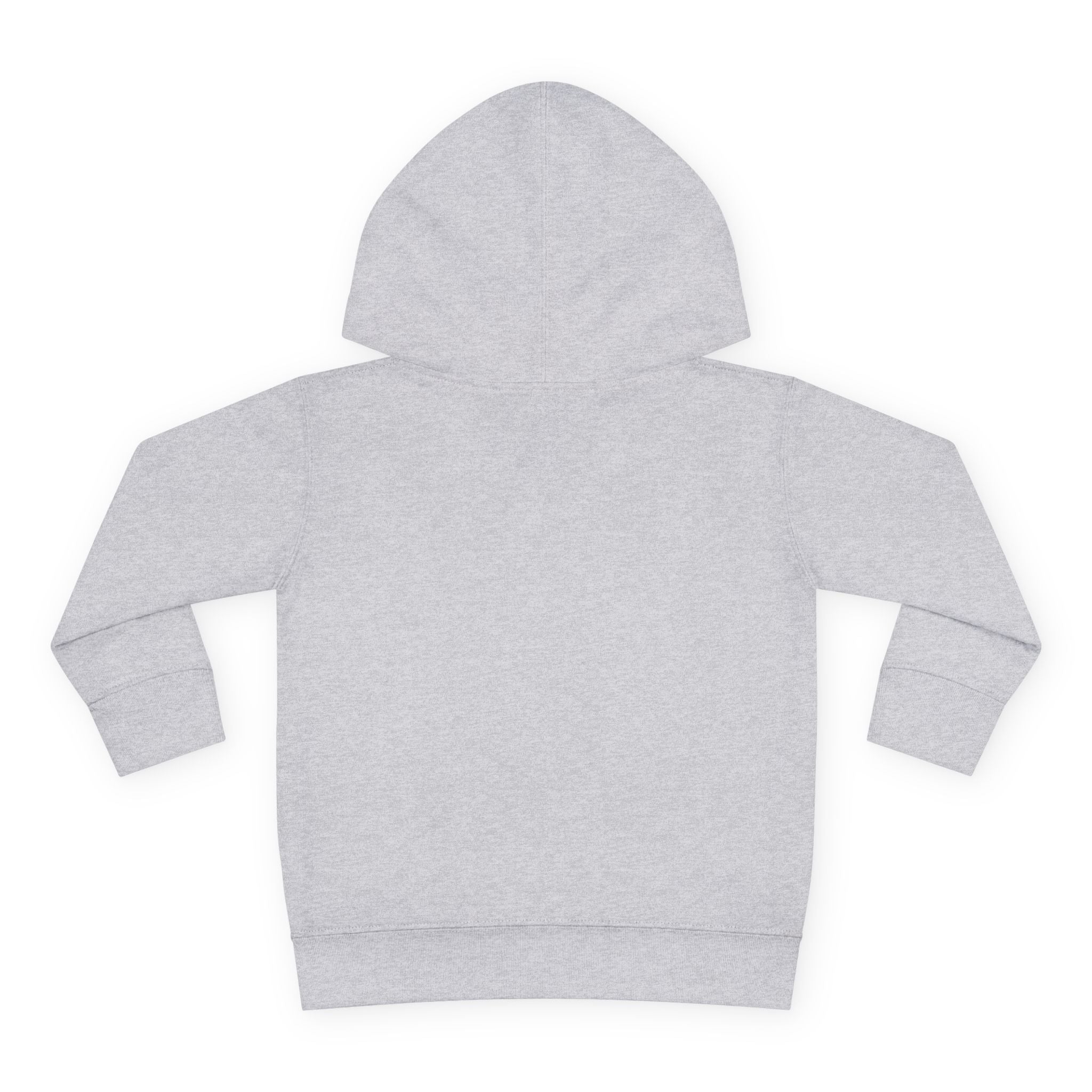 Toddler Hoodie  Cozy Plaid Santa Gnome Pullover
