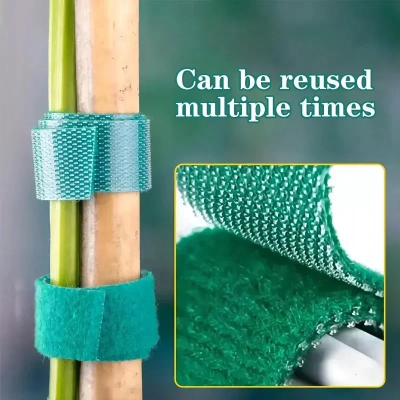 100/2M Plant Nylon Cable Tie Adjustable Self Adhesive Green Plants Hook Loops Garden Twine Bandage Support Fastener Tape Strips
