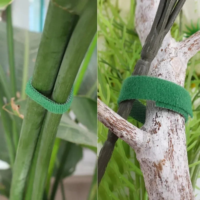 100/2M Plant Nylon Cable Tie Adjustable Self Adhesive Green Plants Hook Loops Garden Twine Bandage Support Fastener Tape Strips