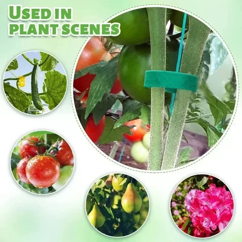 100/2M Plant Nylon Cable Tie Adjustable Self Adhesive Green Plants Hook Loops Garden Twine Bandage Support Fastener Tape Strips