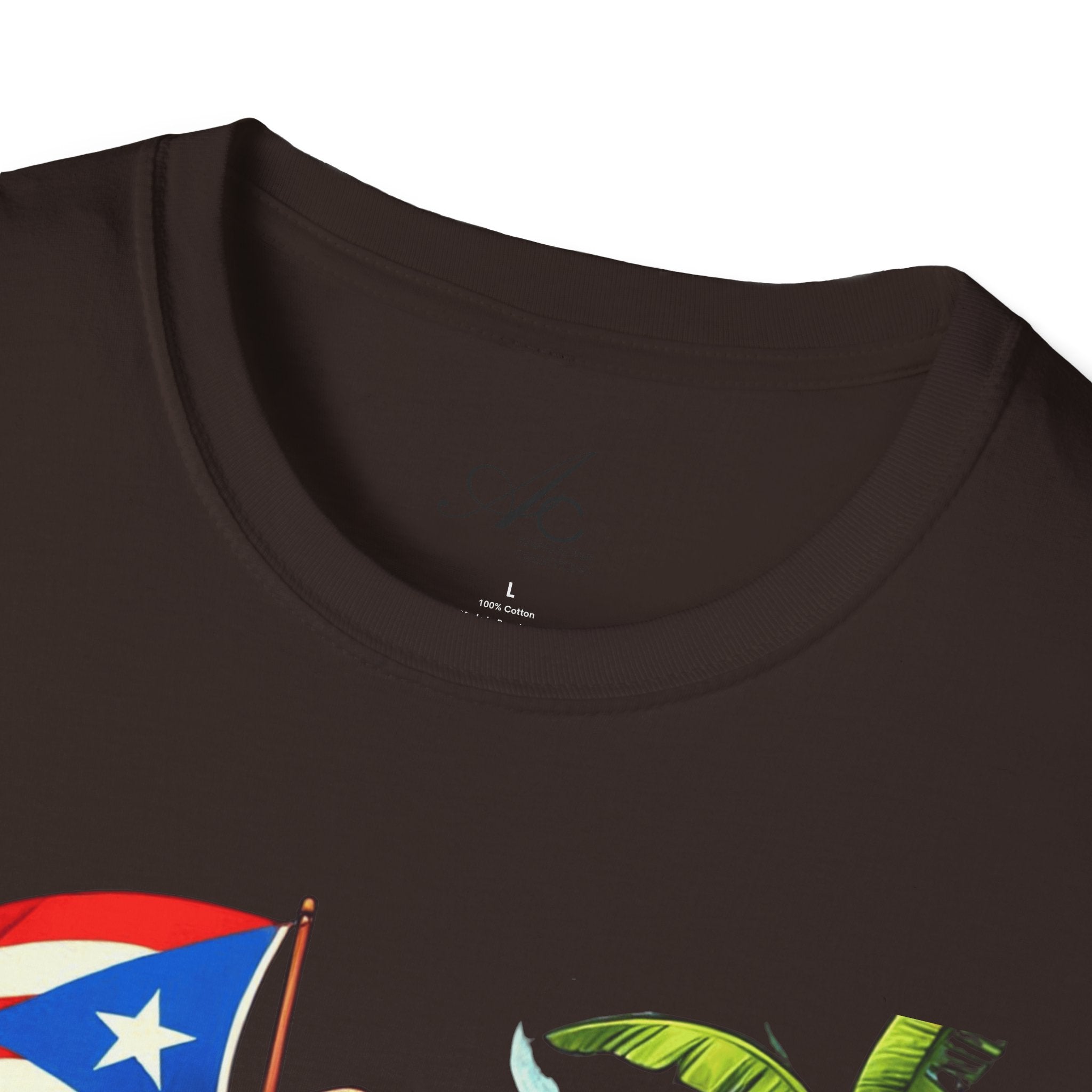 Puerto Rican T-Shirt, Summer Shirt, Casual Wear, Gift for Him/Her, Beach Apparel Boriqua T-Shirt - Metamorphosis Creations