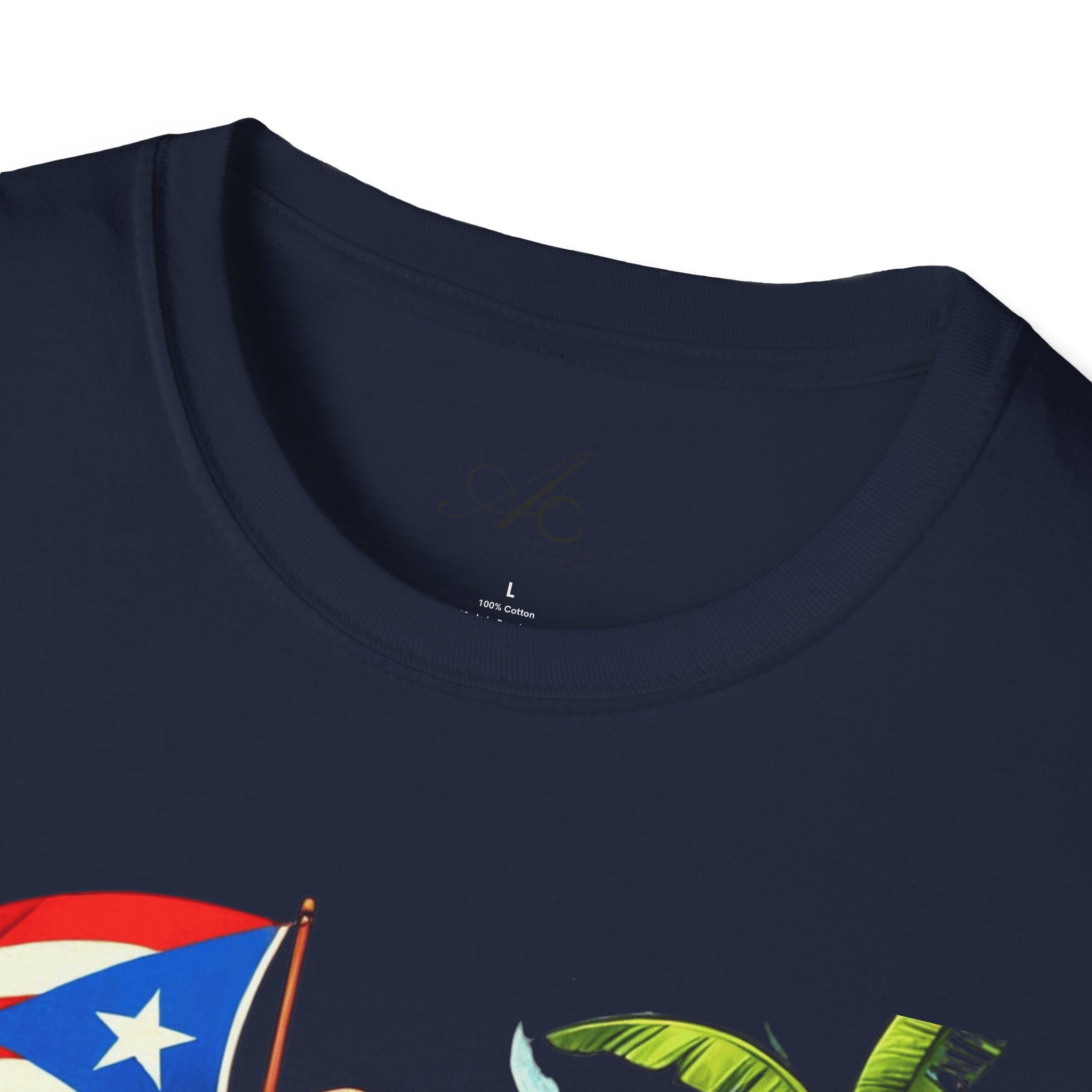 Puerto Rican T-Shirt, Summer Shirt, Casual Wear, Gift for Him/Her, Beach Apparel Boriqua T-Shirt - Metamorphosis Creations