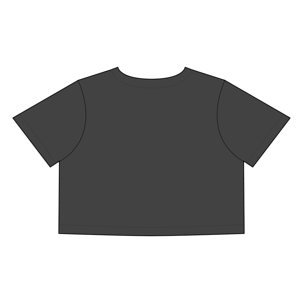 Salsa Brava PR Pride Crop Tee, Women's Faded Crop Top, Casual Summer Tee, Festival Wear, Gift for Texas Lovers - Metamorphosis Creations