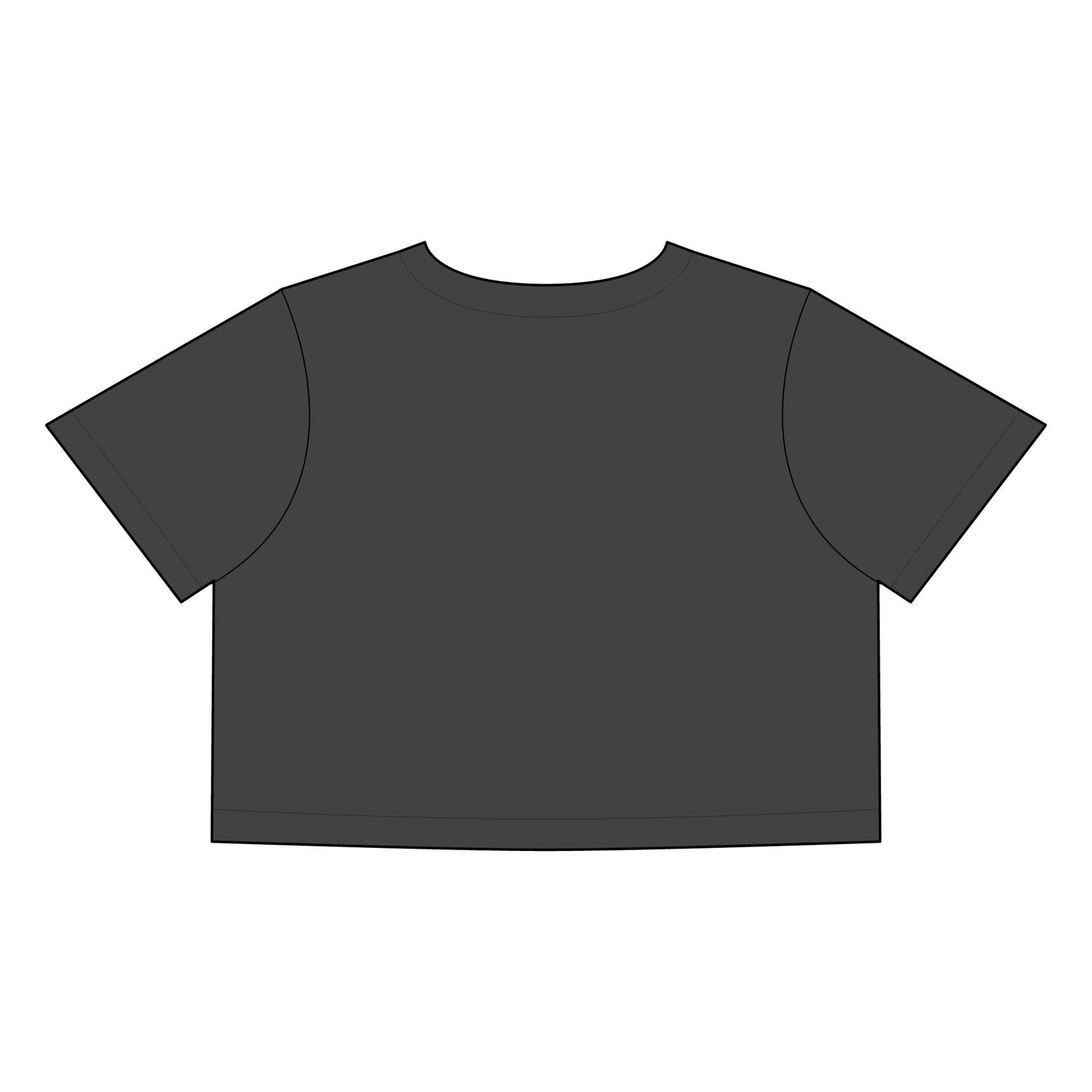 Salsa Brava PR Pride Crop Tee, Women's Faded Crop Top, Casual Summer Tee, Festival Wear, Gift for Texas Lovers - Metamorphosis Creations