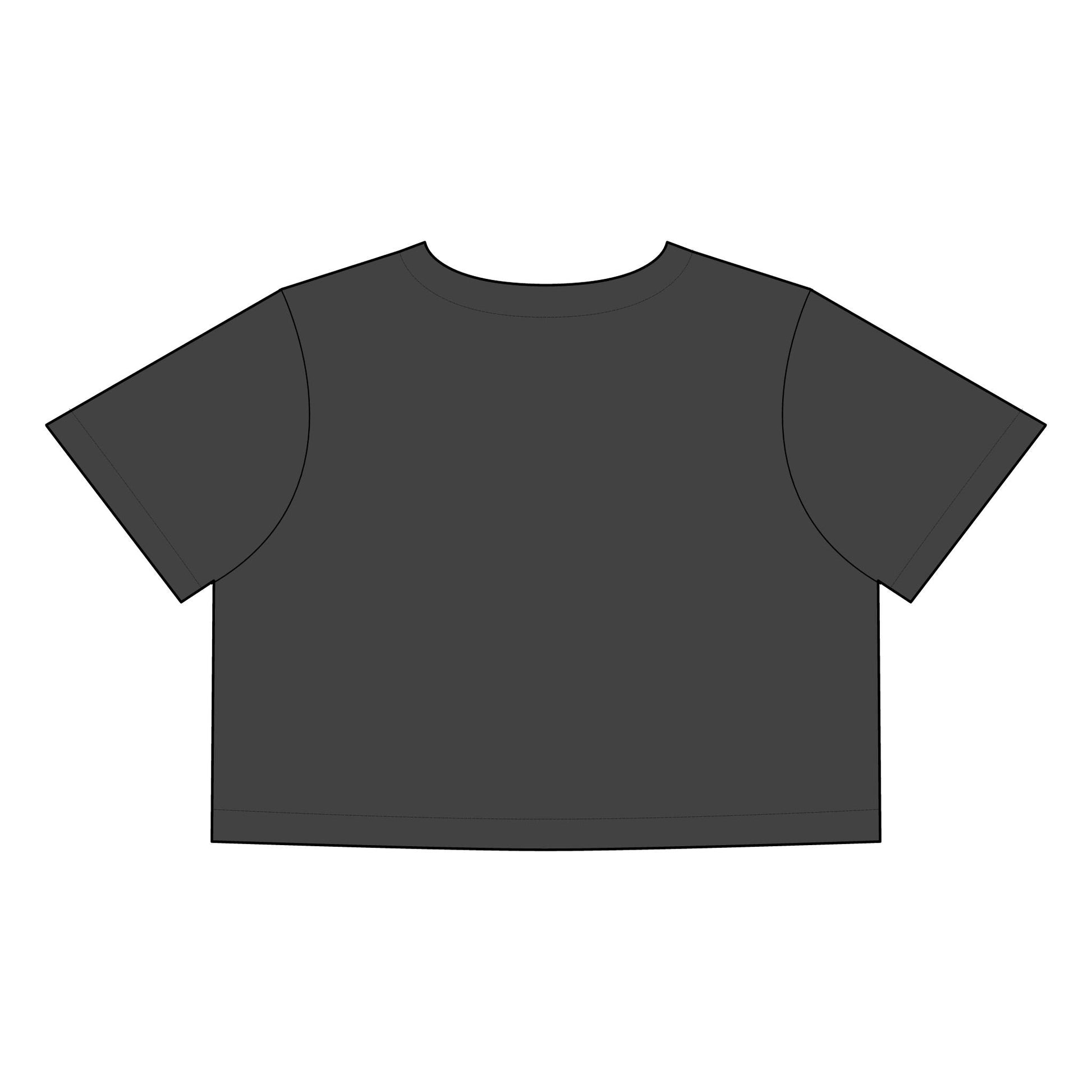 Salsa Brava PR Pride Crop Tee, Women's Faded Crop Top, Casual Summer Tee, Festival Wear, Gift for Texas Lovers - Metamorphosis Creations