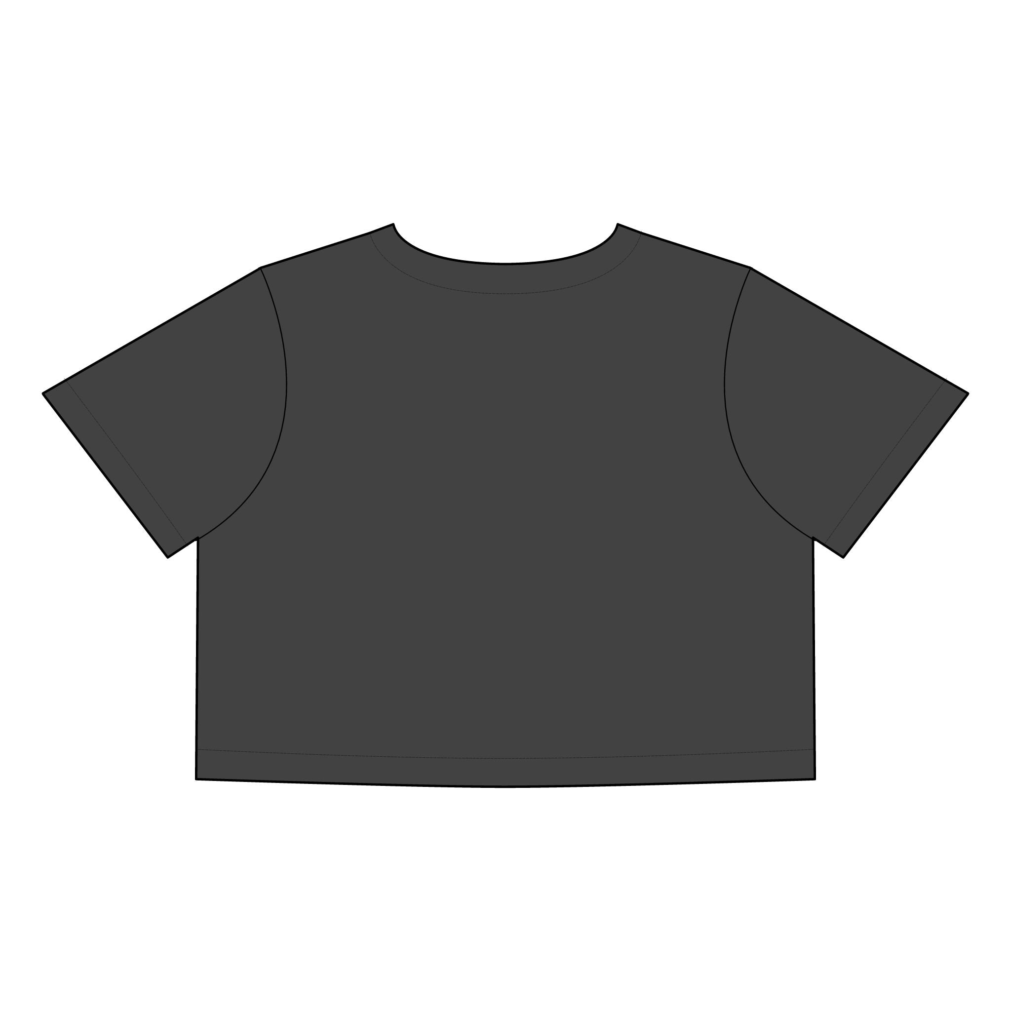 Salsa Brava PR Pride Crop Tee, Women's Faded Crop Top, Casual Summer Tee, Festival Wear, Gift for Texas Lovers - Metamorphosis Creations