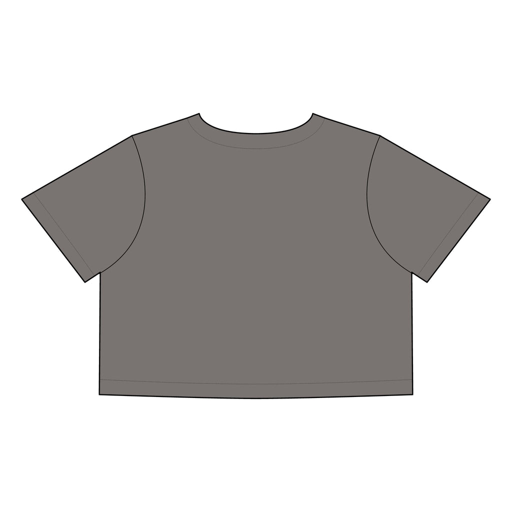 Salsa Brava PR Pride Crop Tee, Women's Faded Crop Top, Casual Summer Tee, Festival Wear, Gift for Texas Lovers - Metamorphosis Creations