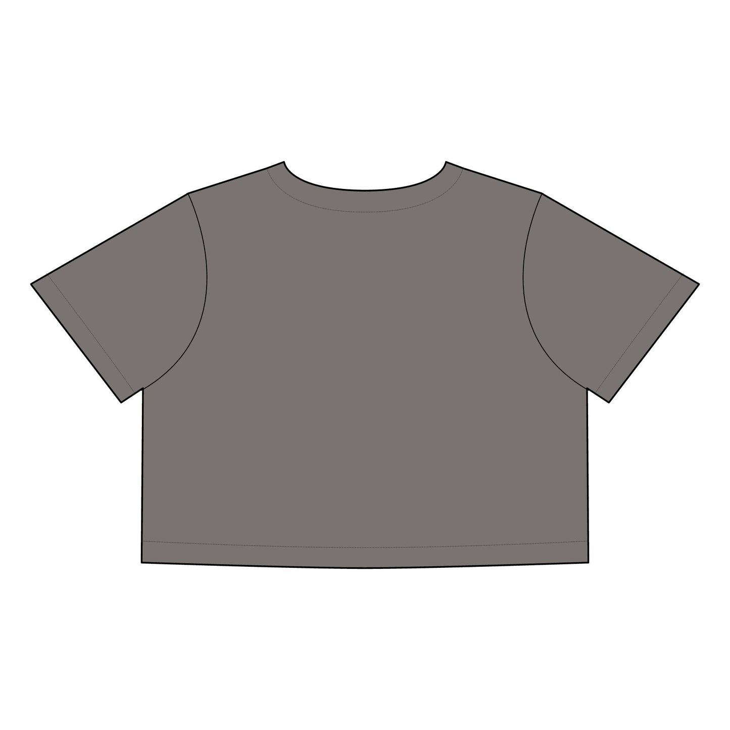 Salsa Brava PR Pride Crop Tee, Women's Faded Crop Top, Casual Summer Tee, Festival Wear, Gift for Texas Lovers - Metamorphosis Creations