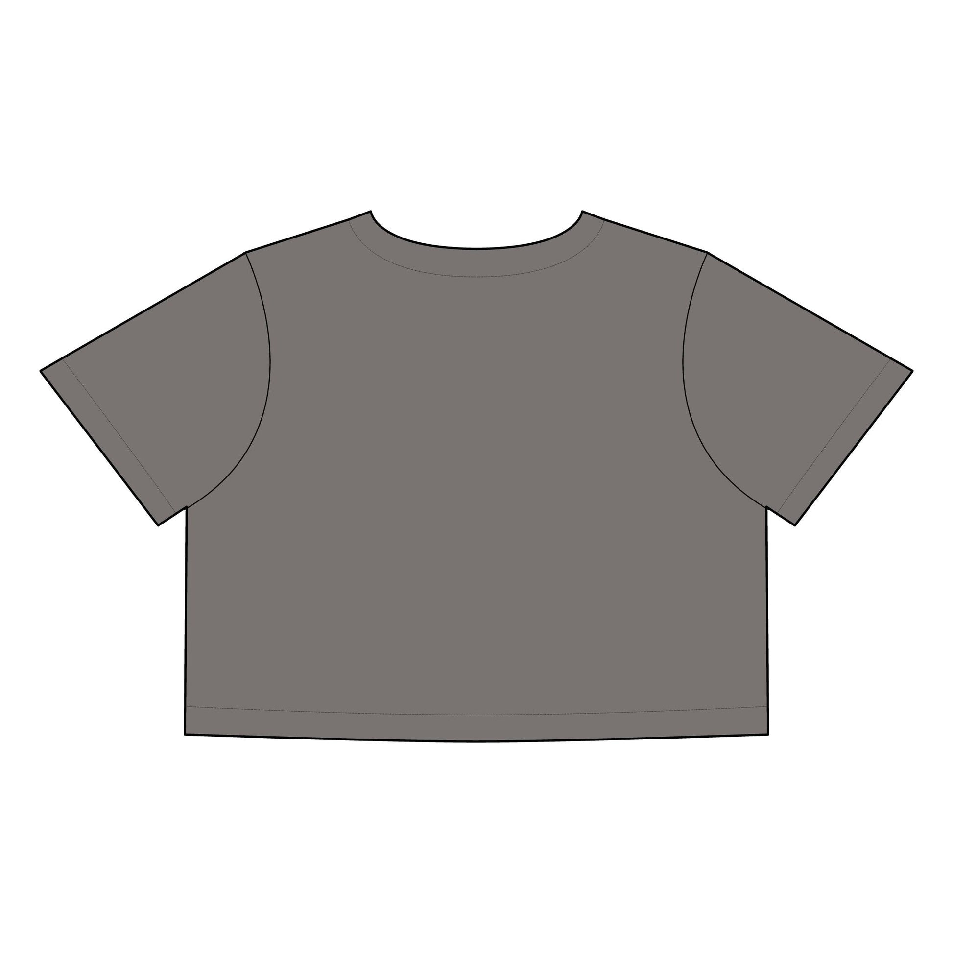 Salsa Brava PR Pride Crop Tee, Women's Faded Crop Top, Casual Summer Tee, Festival Wear, Gift for Texas Lovers - Metamorphosis Creations
