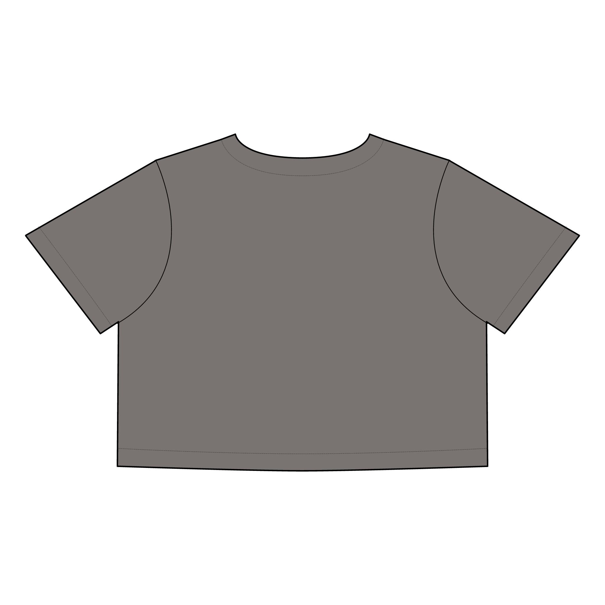 Salsa Brava PR Pride Crop Tee, Women's Faded Crop Top, Casual Summer Tee, Festival Wear, Gift for Texas Lovers - Metamorphosis Creations