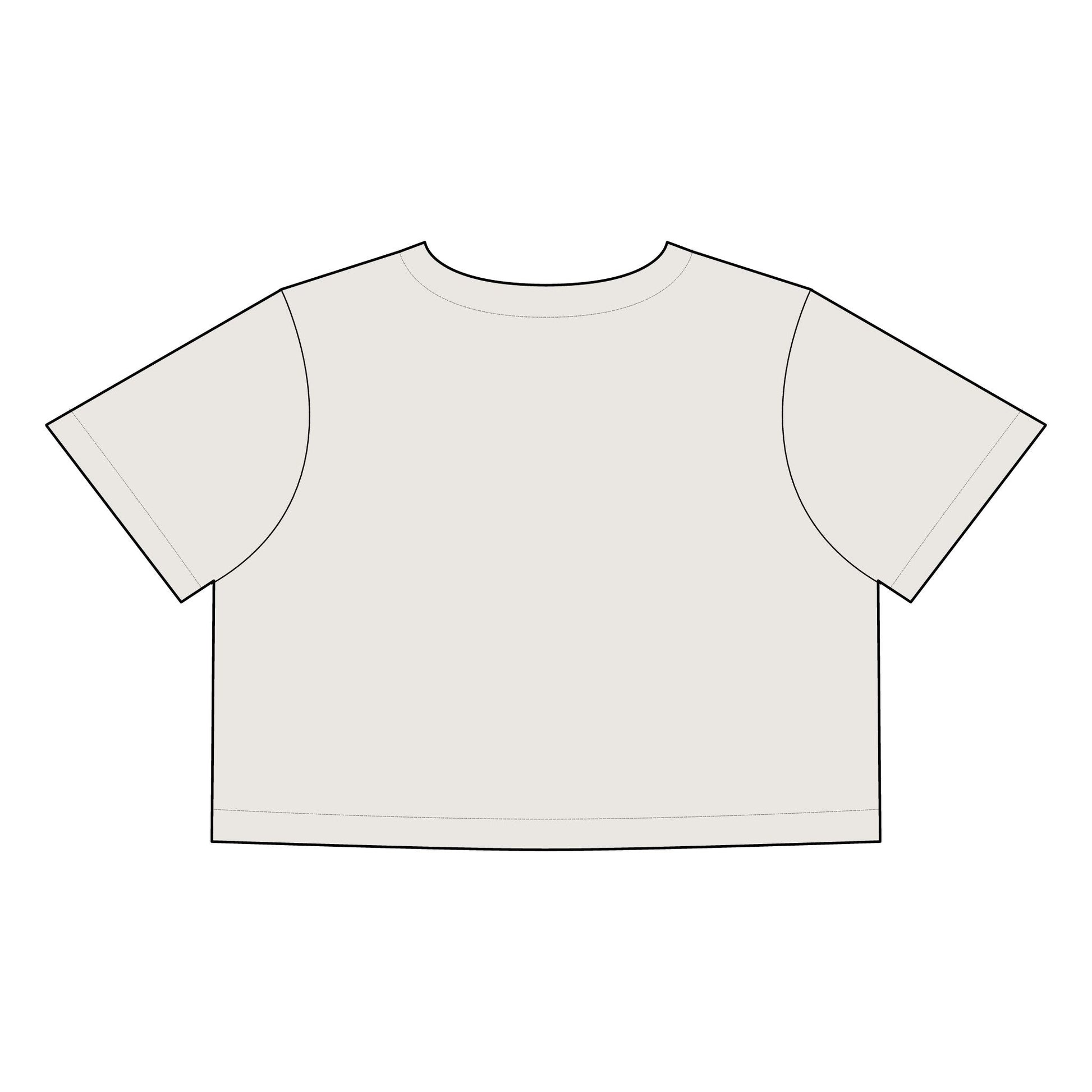 Salsa Brava PR Pride Crop Tee, Women's Faded Crop Top, Casual Summer Tee, Festival Wear, Gift for Texas Lovers - Metamorphosis Creations