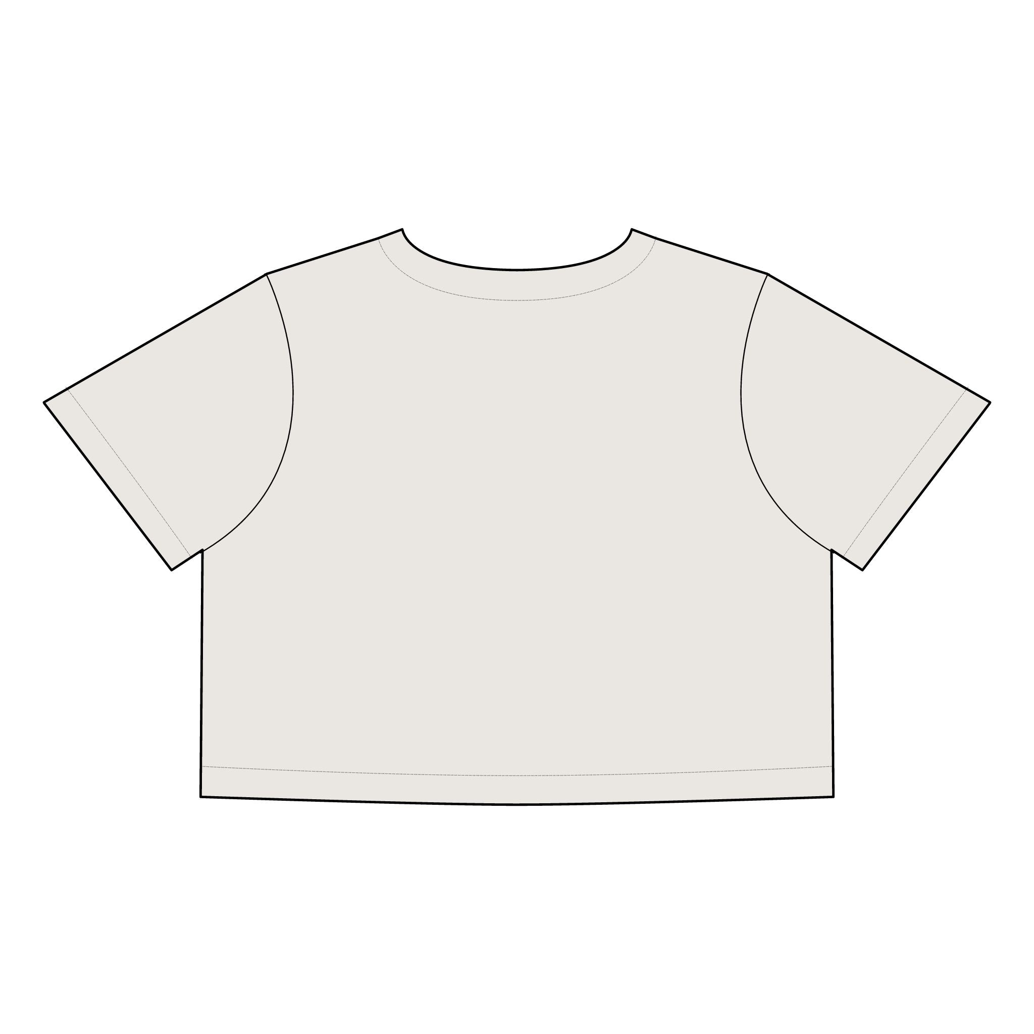 Salsa Brava PR Pride Crop Tee, Women's Faded Crop Top, Casual Summer Tee, Festival Wear, Gift for Texas Lovers - Metamorphosis Creations
