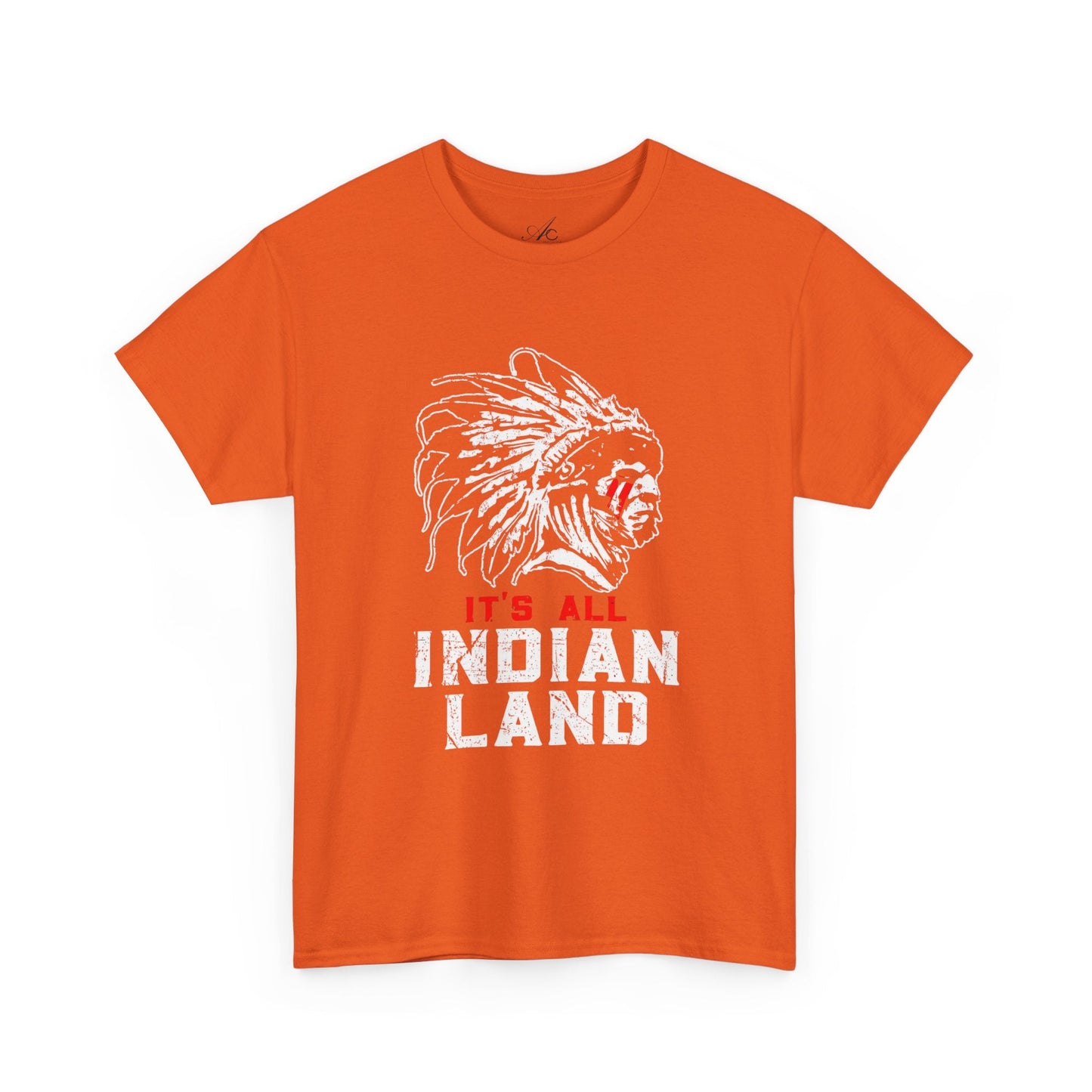 Say It Without Saying It Indigenous Pride Tee, Unisex Heavy Cotton Top, Statement Shirt, Native American Heritage, Gift for Activists, Cultural Appreciation Shirt - Metamorphosis Creations