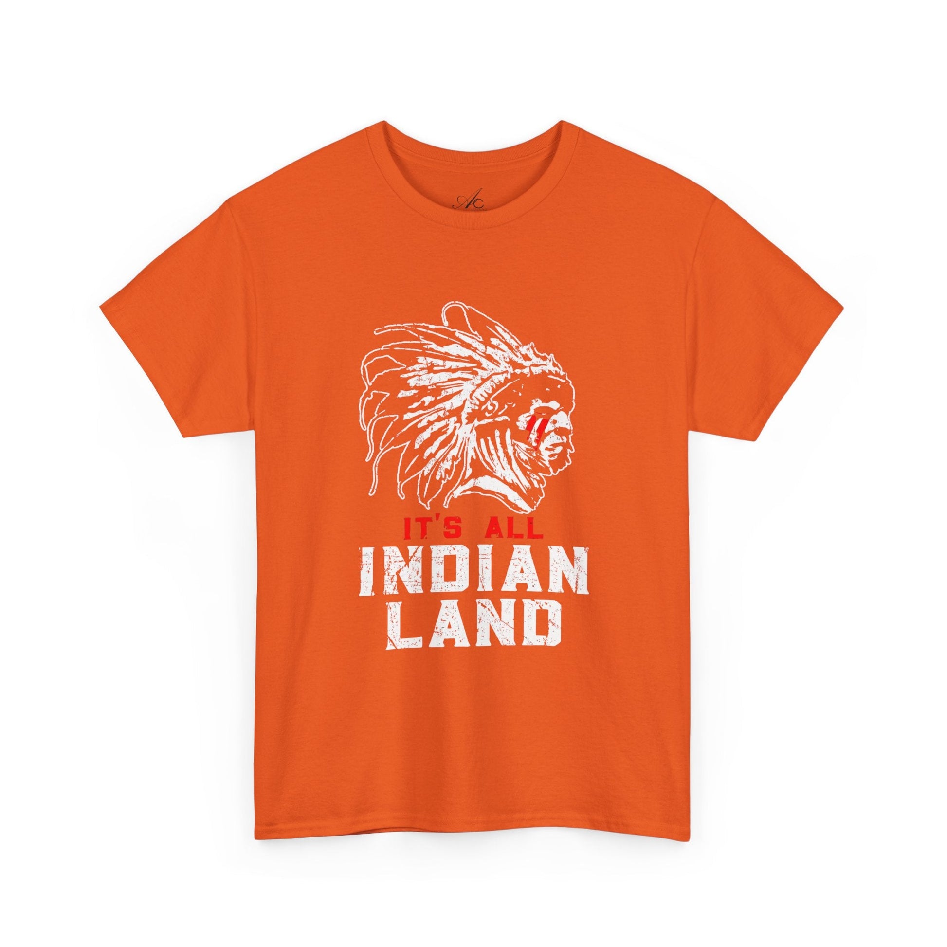 Say It Without Saying It Indigenous Pride Tee, Unisex Heavy Cotton Top, Statement Shirt, Native American Heritage, Gift for Activists, Cultural Appreciation Shirt - Metamorphosis Creations