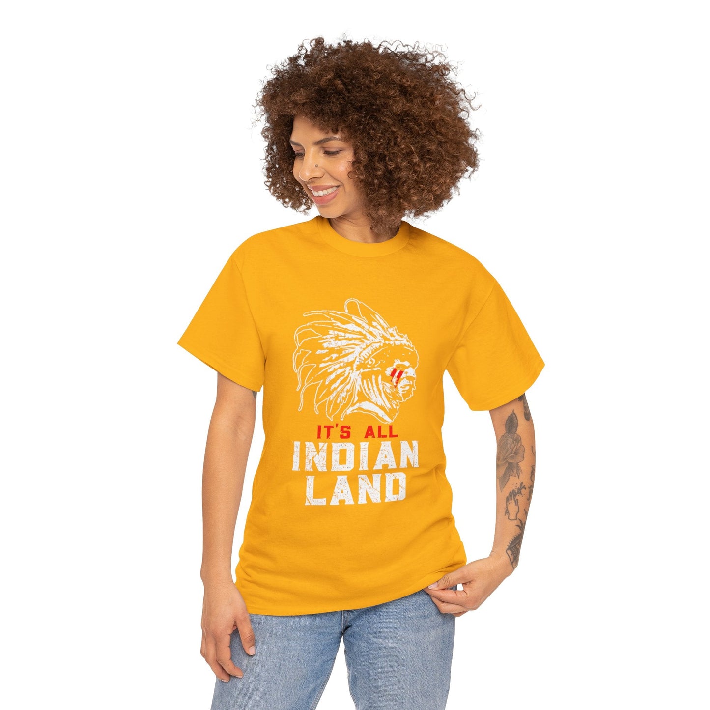 Say It Without Saying It Indigenous Pride Tee, Unisex Heavy Cotton Top, Statement Shirt, Native American Heritage, Gift for Activists, Cultural Appreciation Shirt - Metamorphosis Creations