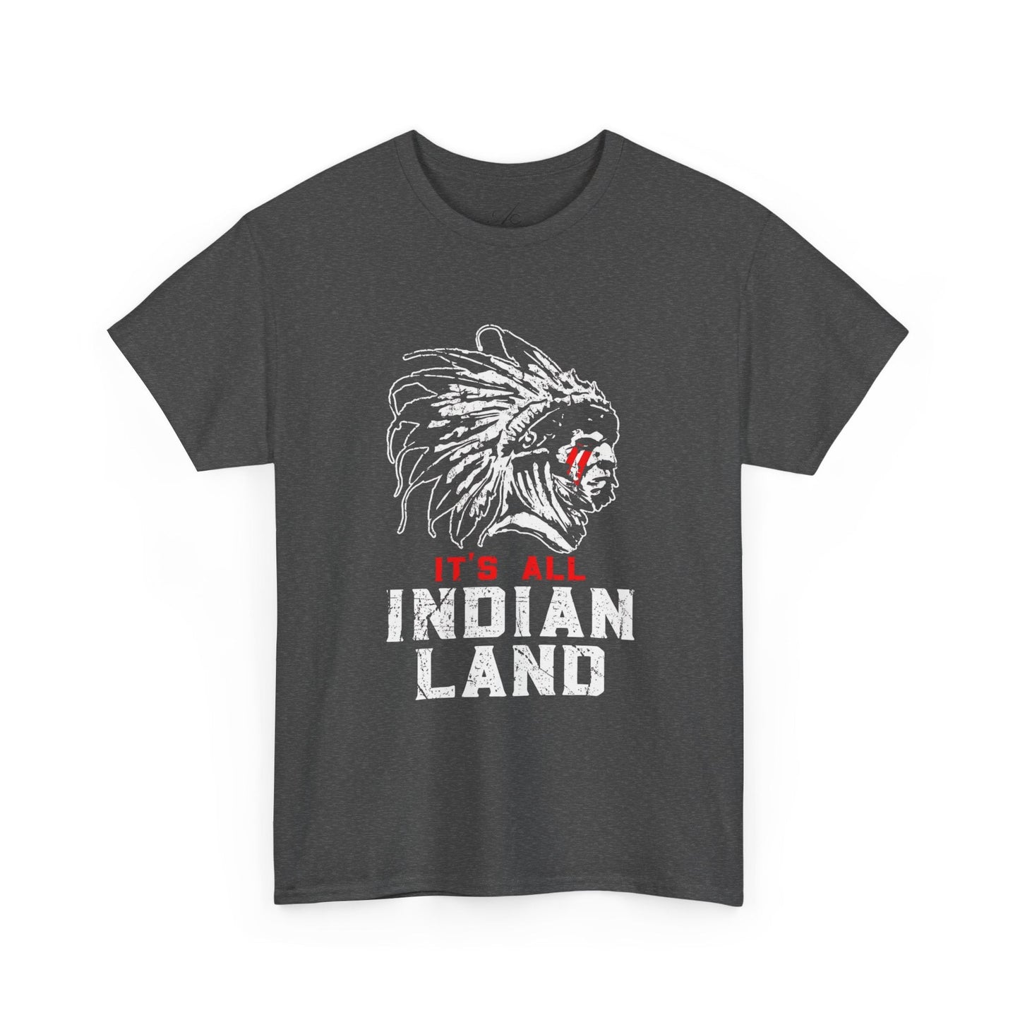 Say It Without Saying It Indigenous Pride Tee, Unisex Heavy Cotton Top, Statement Shirt, Native American Heritage, Gift for Activists, Cultural Appreciation Shirt - Metamorphosis Creations