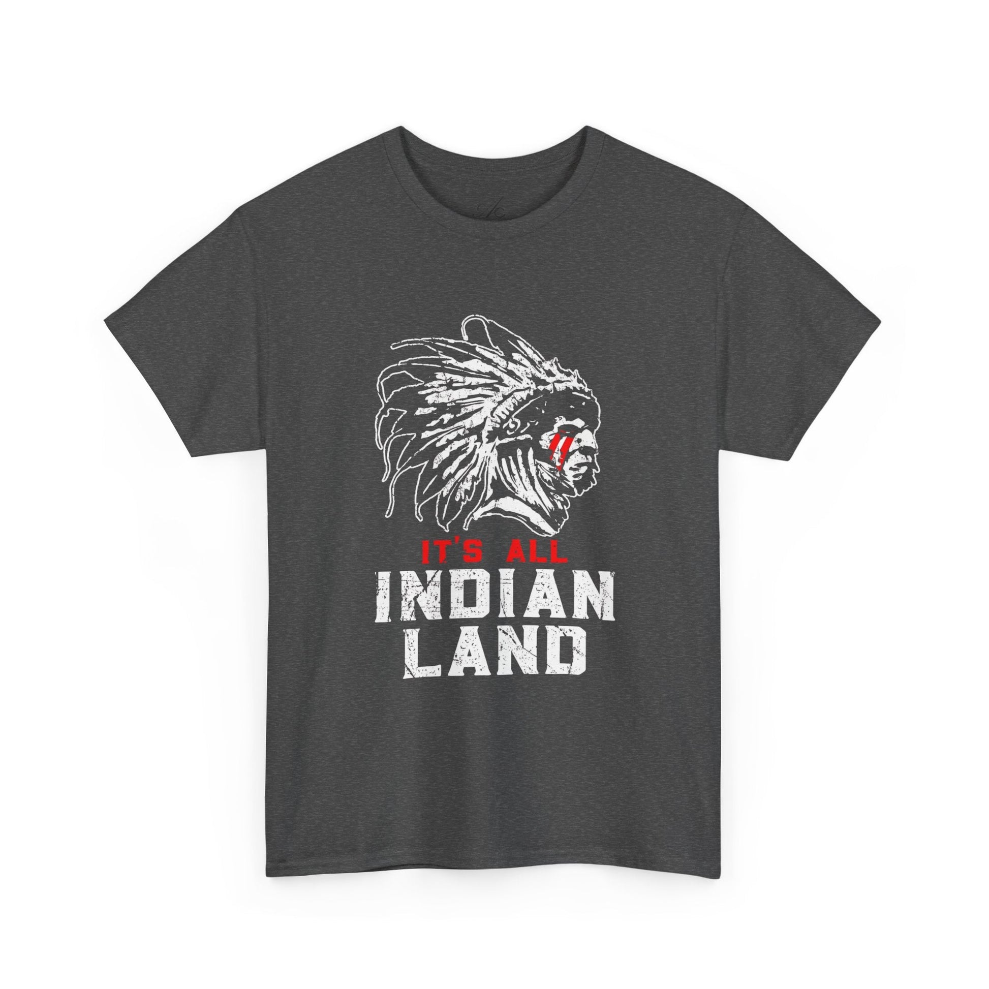 Say It Without Saying It Indigenous Pride Tee, Unisex Heavy Cotton Top, Statement Shirt, Native American Heritage, Gift for Activists, Cultural Appreciation Shirt - Metamorphosis Creations