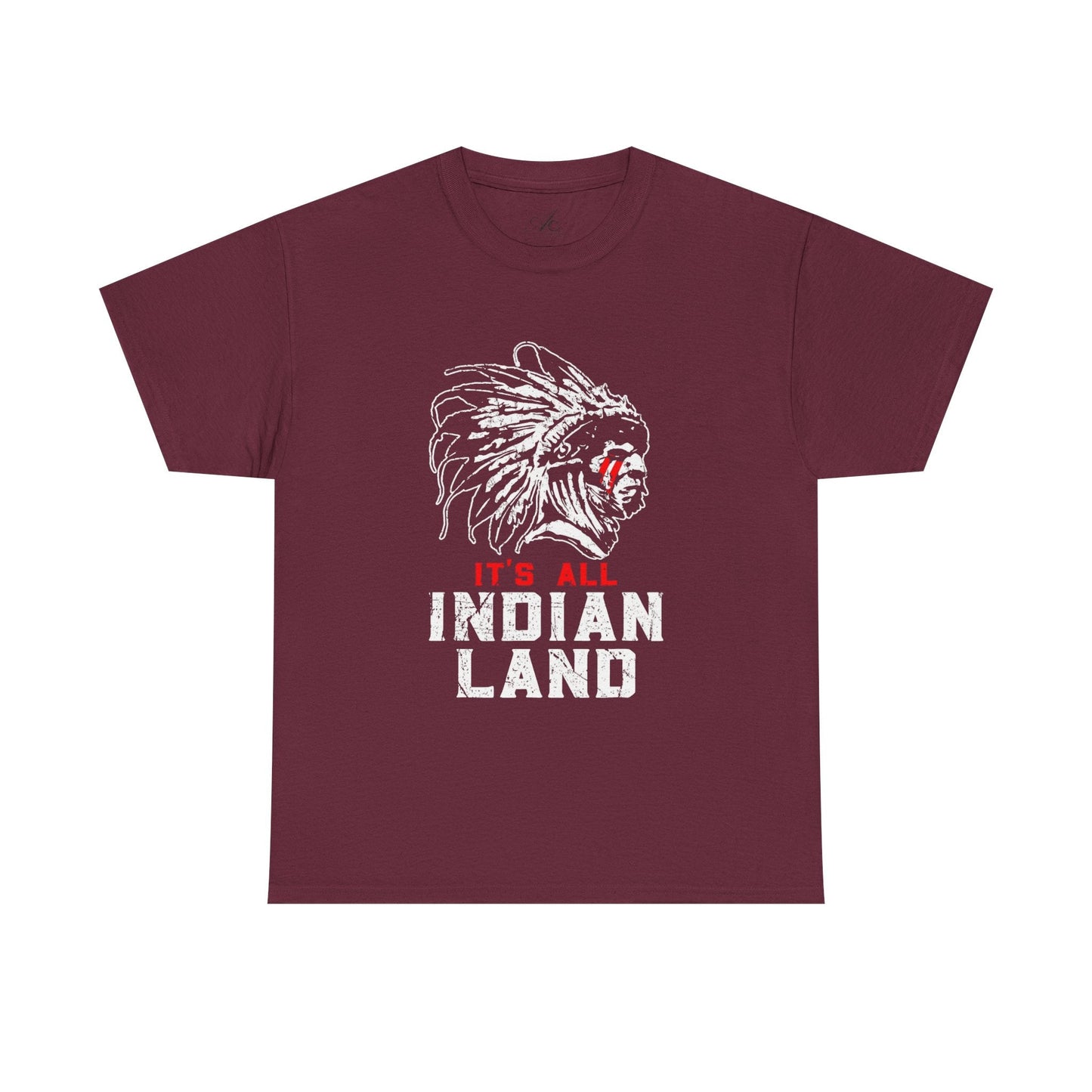 Say It Without Saying It Indigenous Pride Tee, Unisex Heavy Cotton Top, Statement Shirt, Native American Heritage, Gift for Activists, Cultural Appreciation Shirt - Metamorphosis Creations